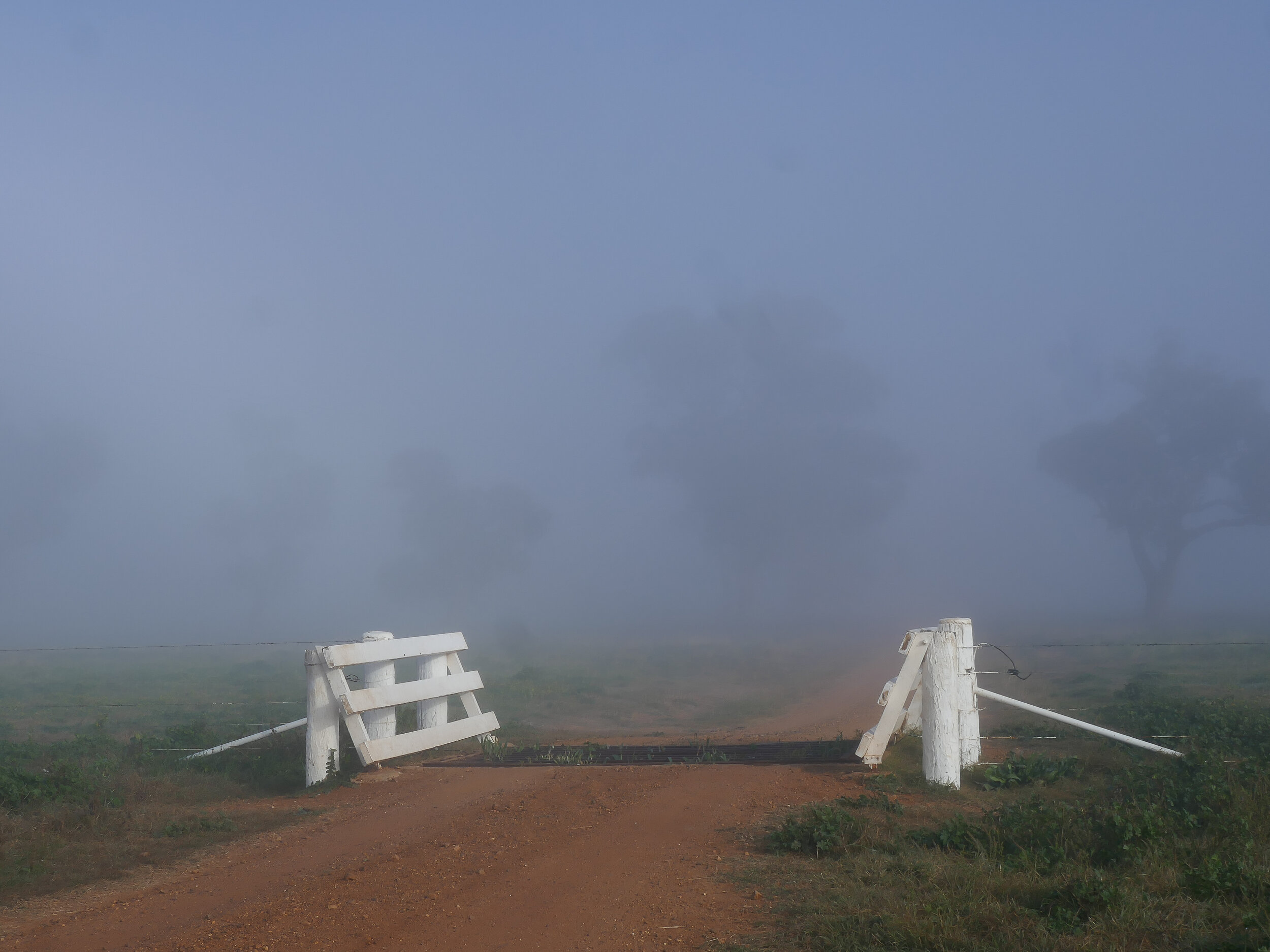 Cattle grid on a foggy morning. Cobbora Station, Dunedoo, NSW