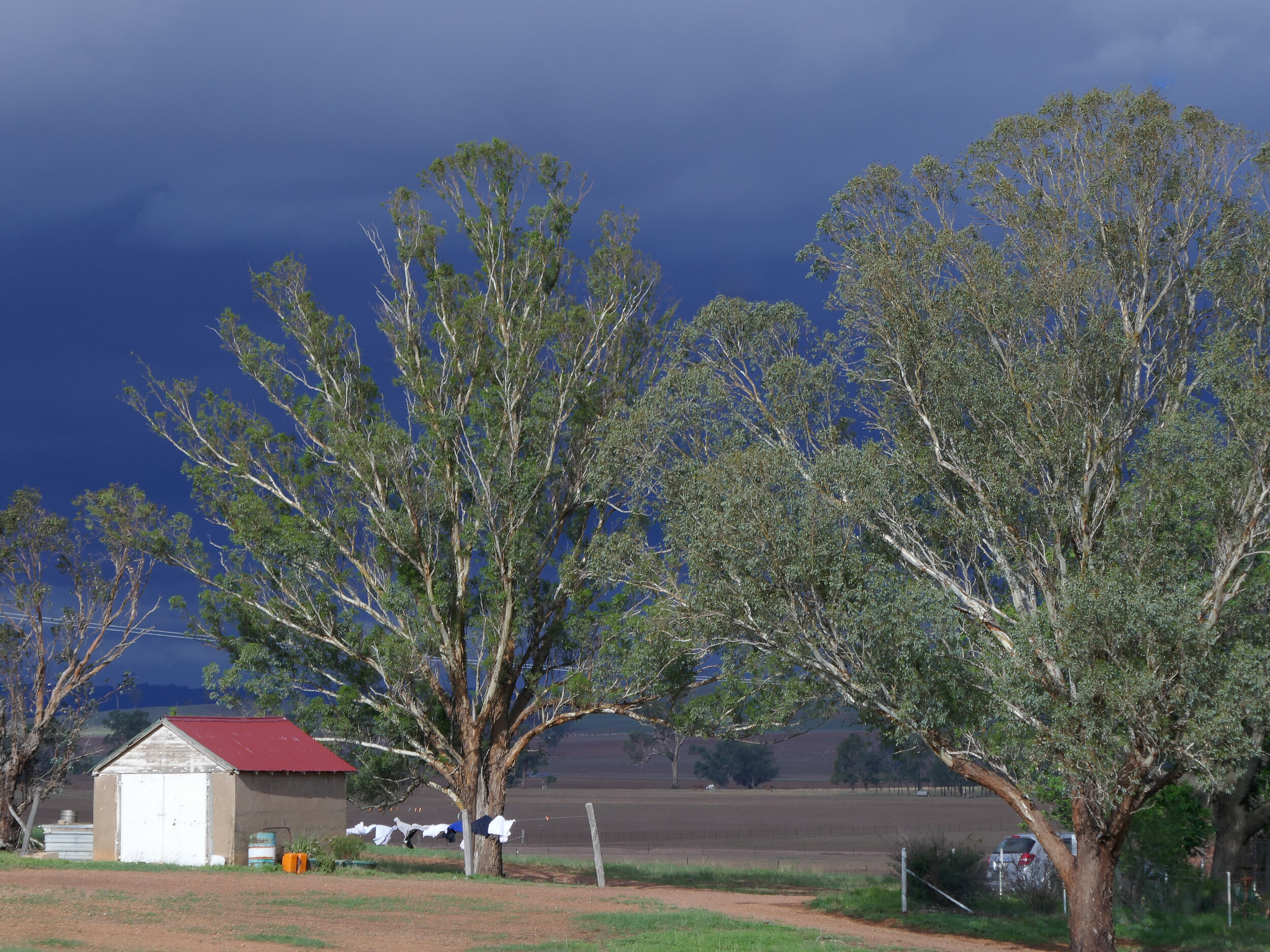 Time to bring the washing in. Anglewood, Dunedoo, NSW