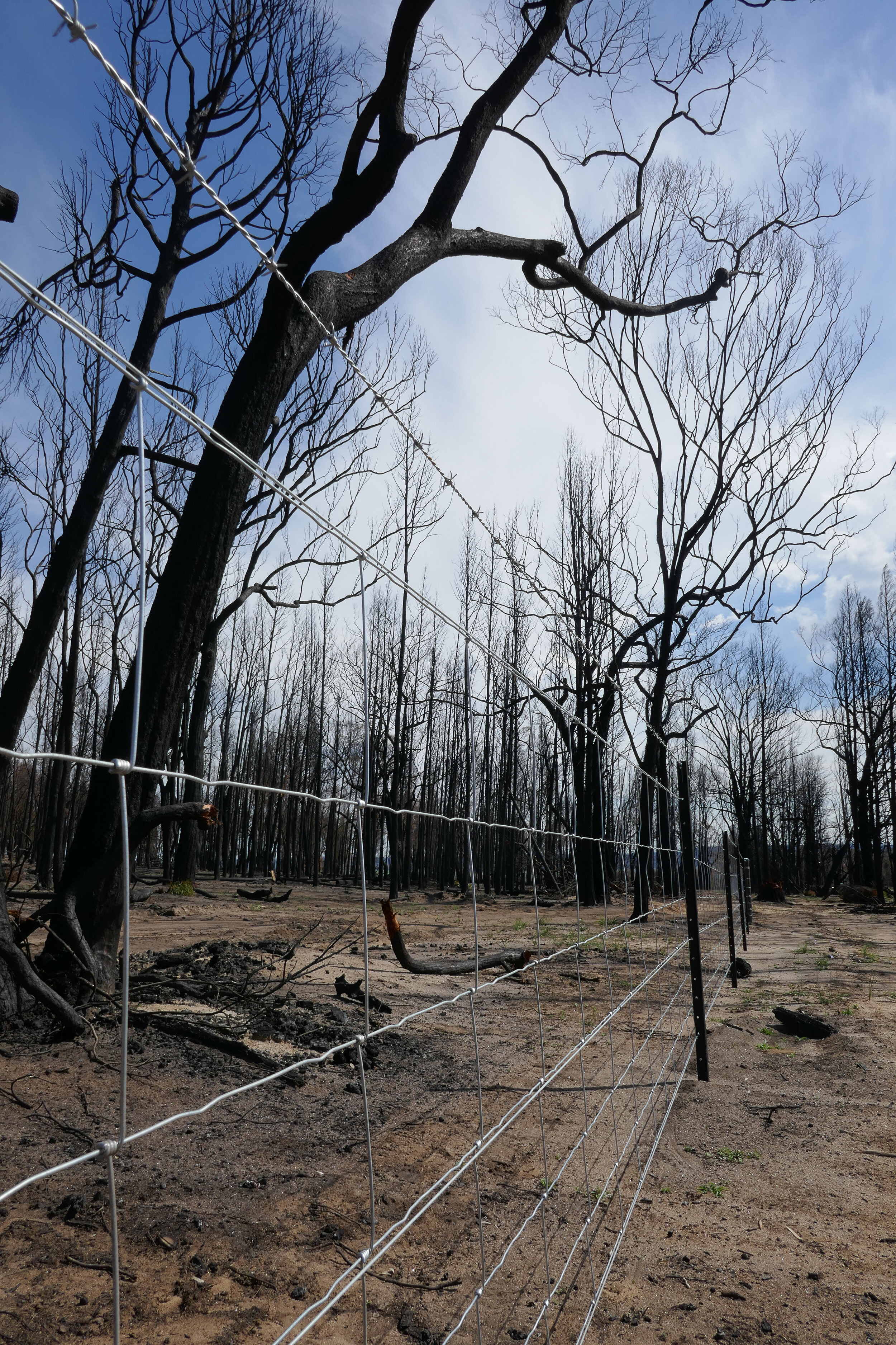Blaze Aid to the rescue 2018. Dunedoo, NSW