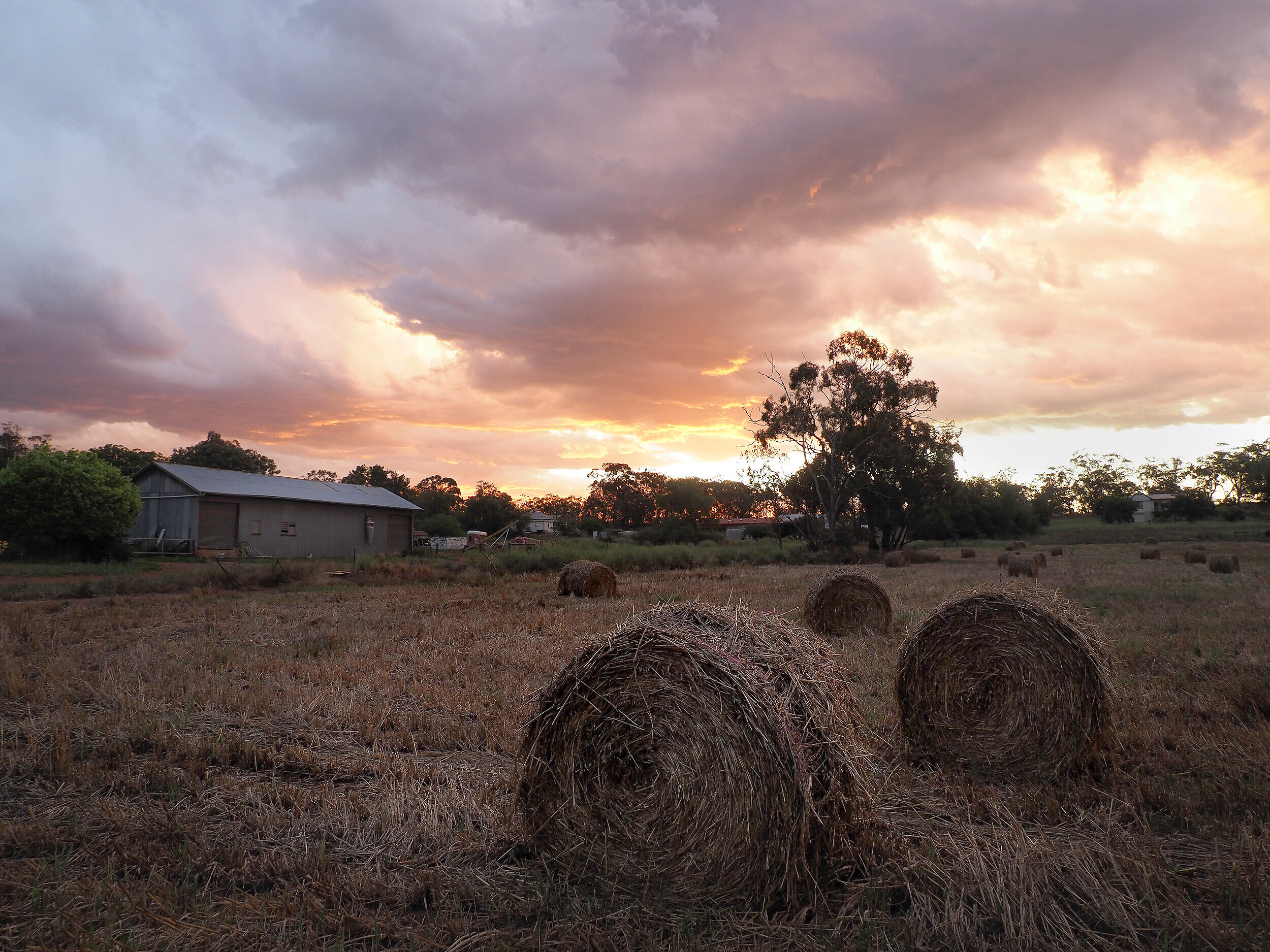 Hay bales at sunset. Dunedoo, NSW