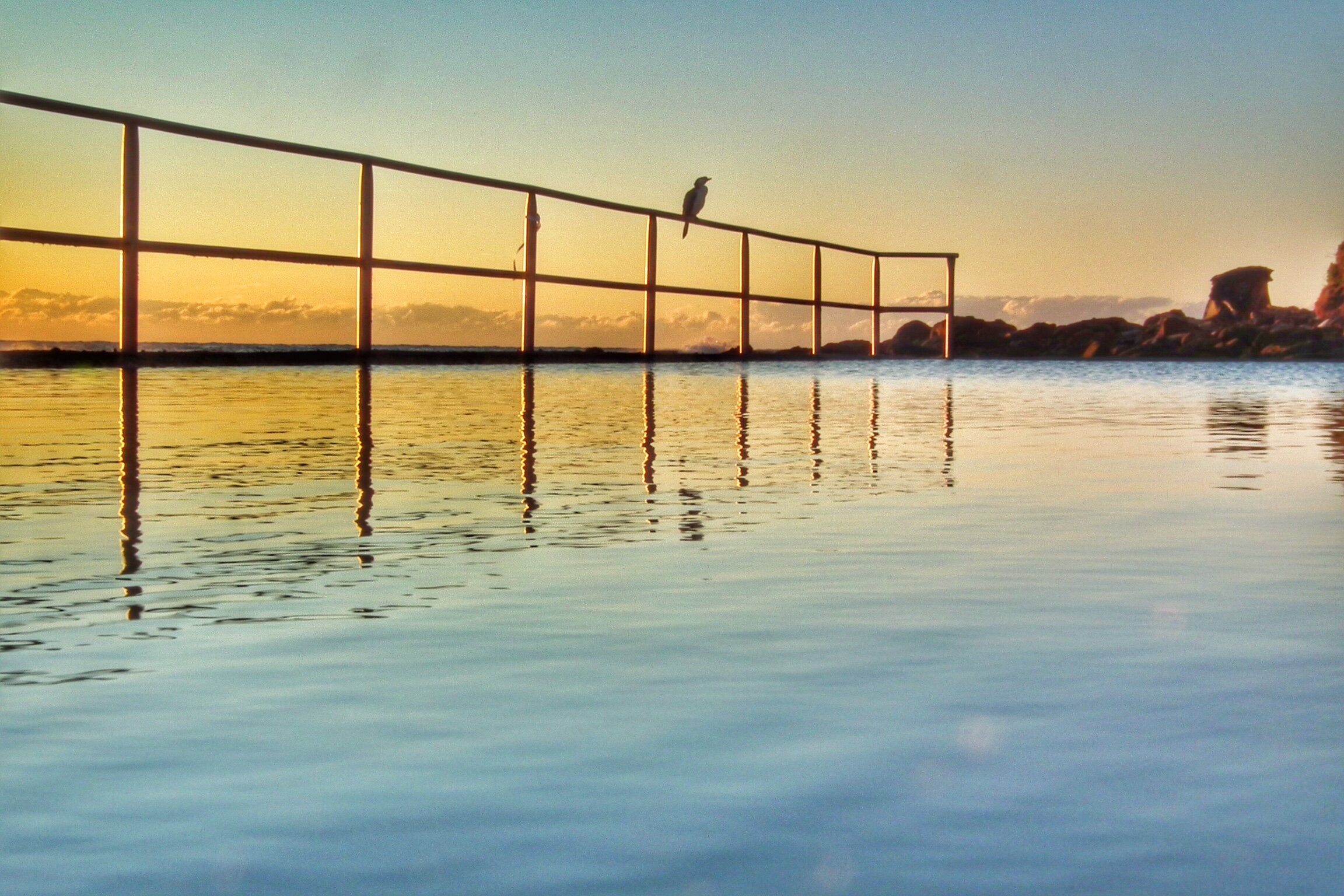 Ocean baths sunrise, with bird. Macmasters Beach, NSW