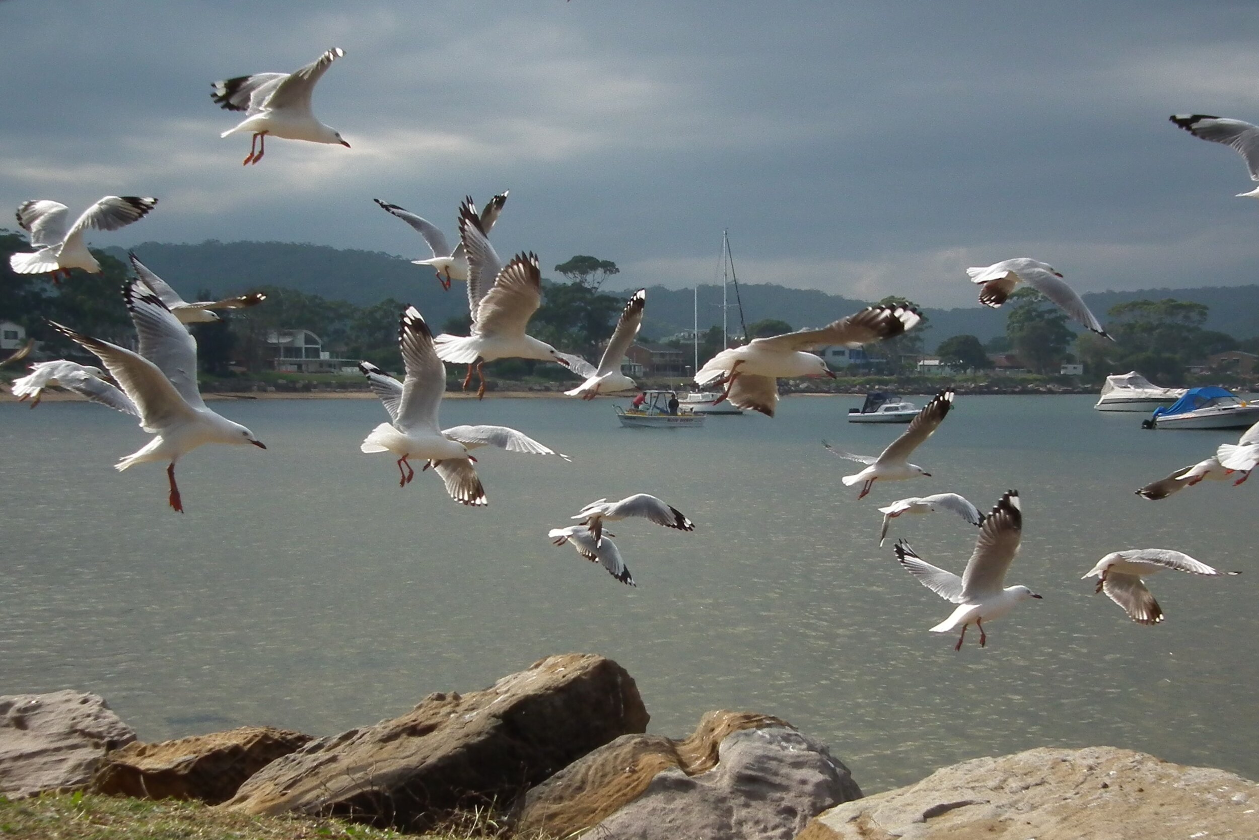 DSCF7962.jpg