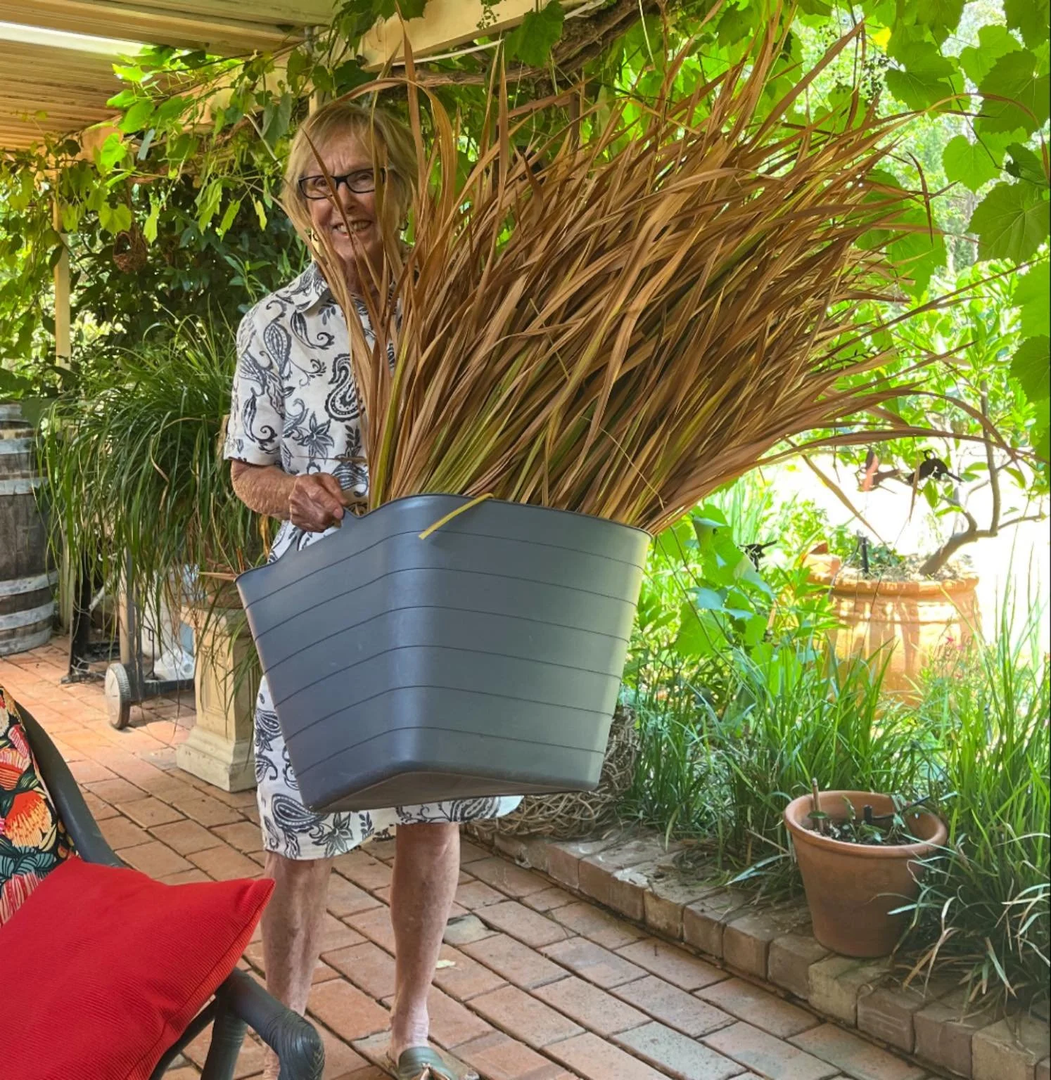 When the #ladieswhoweave @mudgee2ndwednesdayweavers meet on a Thursday for our Christmas lunch, bountiful gifts of weaving material are most welcome. There was excited discussion and planning on how we would use these #watsonia leaves along with some