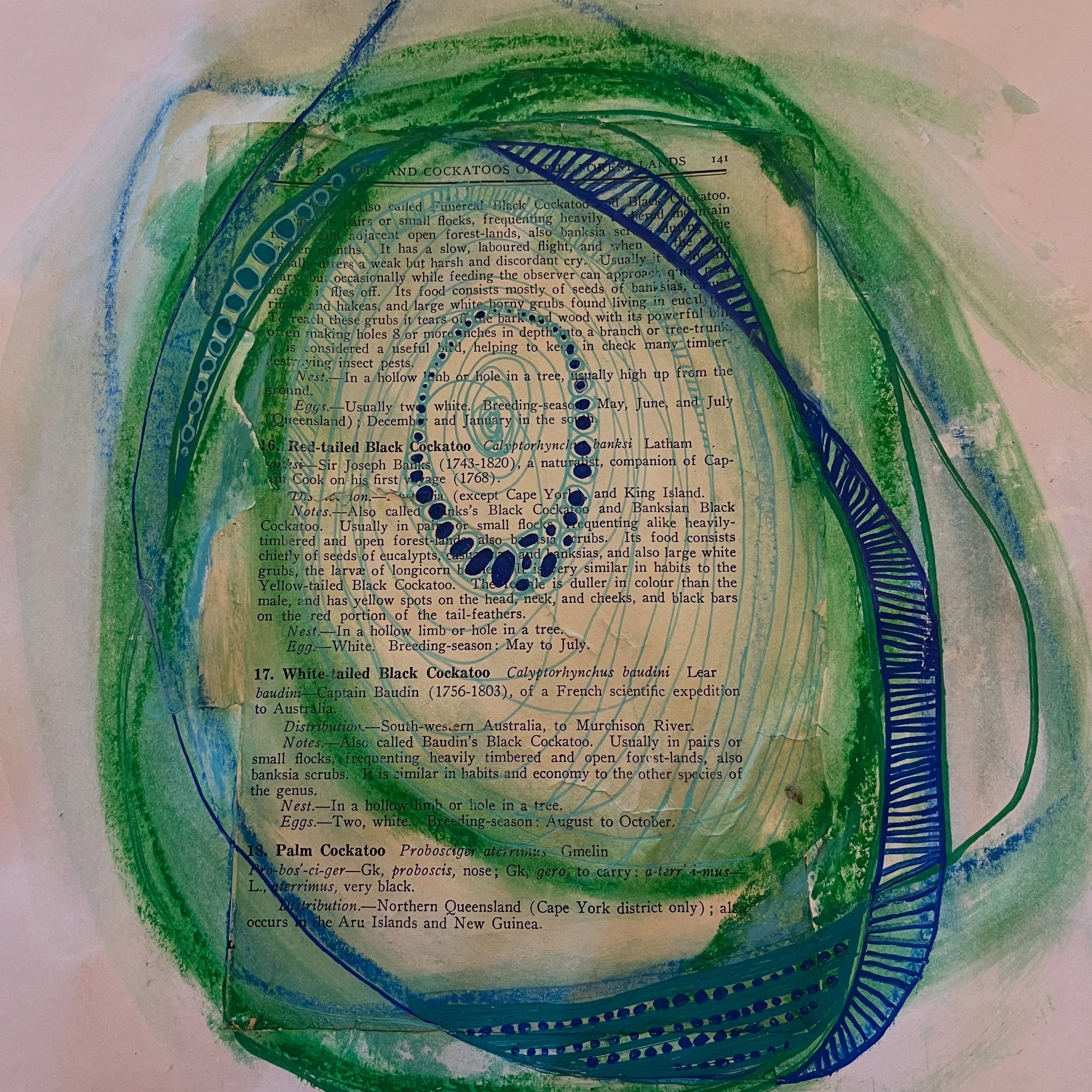 Sunday afternoon well spent ~ playing and creating with paper, pastels and pens and trying out different framing options.

Materials ~ water colour pastels, old book pages, acrylic paint pens 

#markmaking #pastels #collage #acrylicpaintpens #annemad