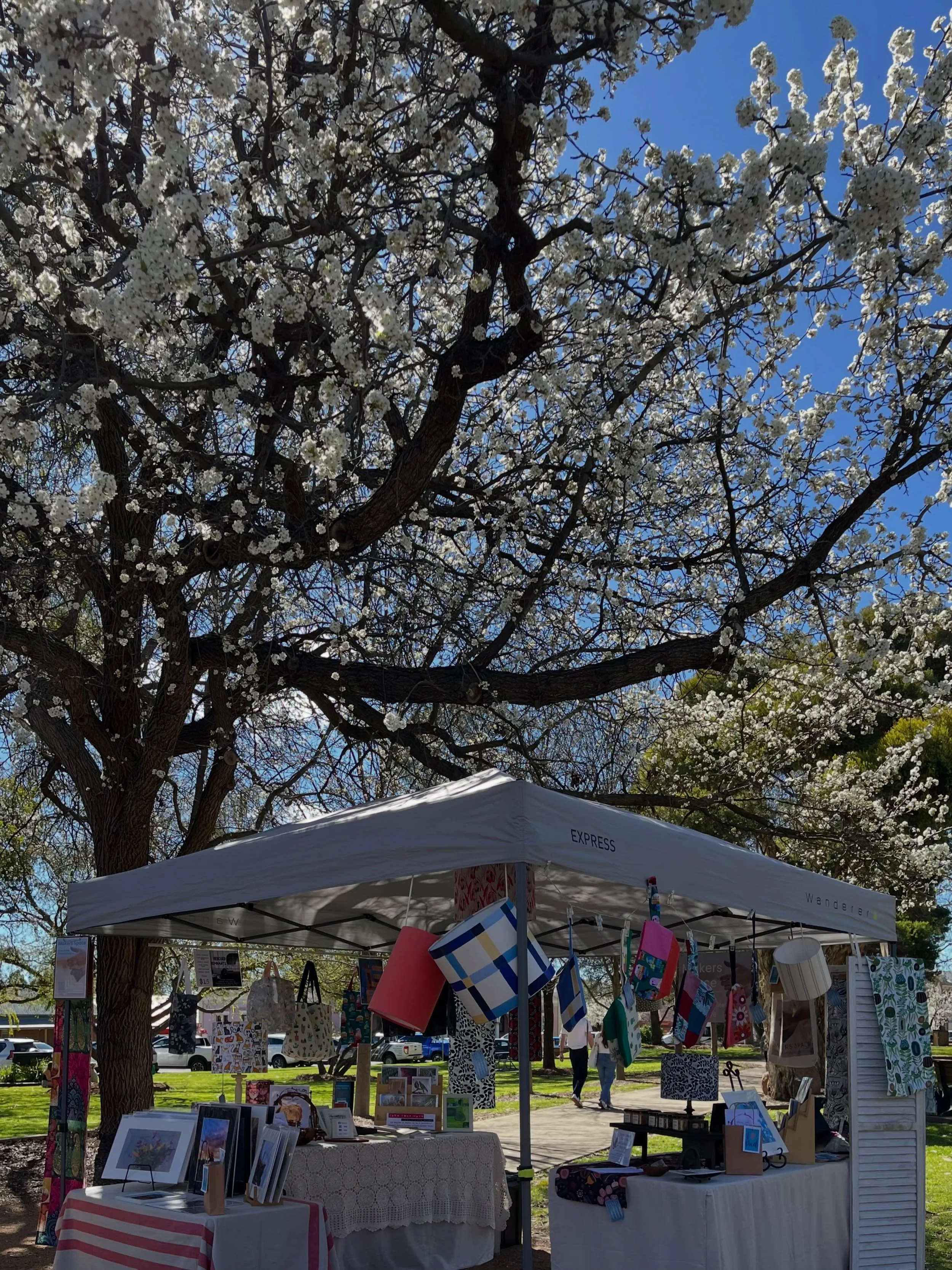 Makers Market day in the Spring sunshine doesn&rsquo;t get better than this! Come for a visit - we are here until 12.30. 

#mudgeemakersmarket #makersspacedunedoo @mudgeefinefoods