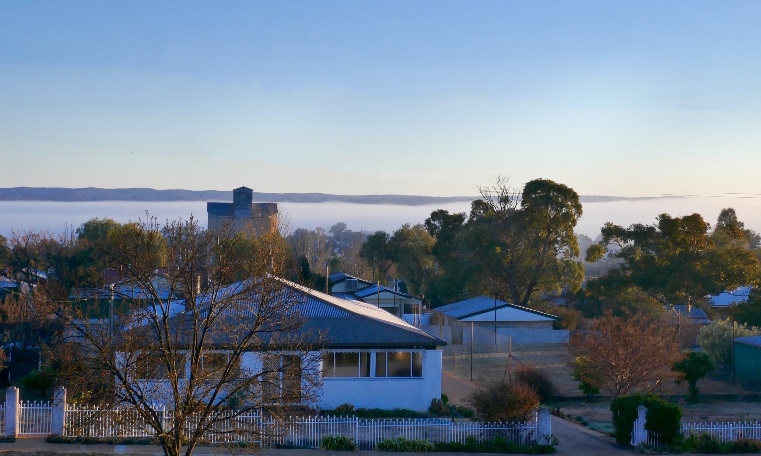 Dunedoo on a foggy day