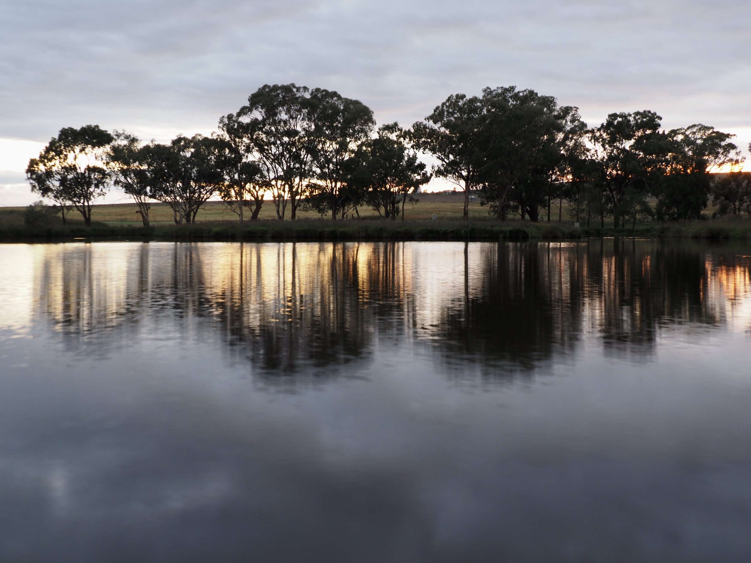 Sunrise at the Golf Course Dam, Dunedoo NSW