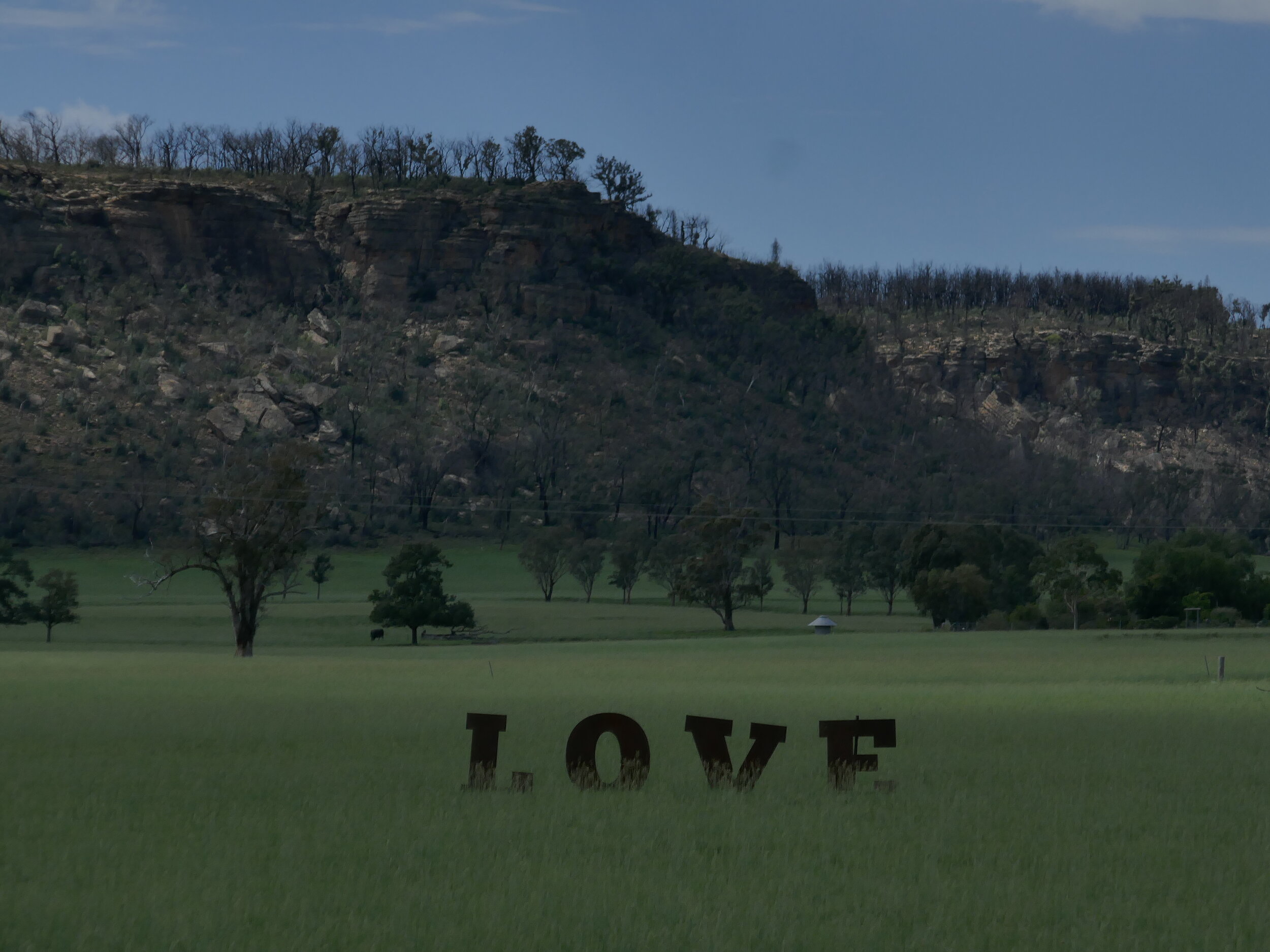 All you need is LOVE, Coolah NSW