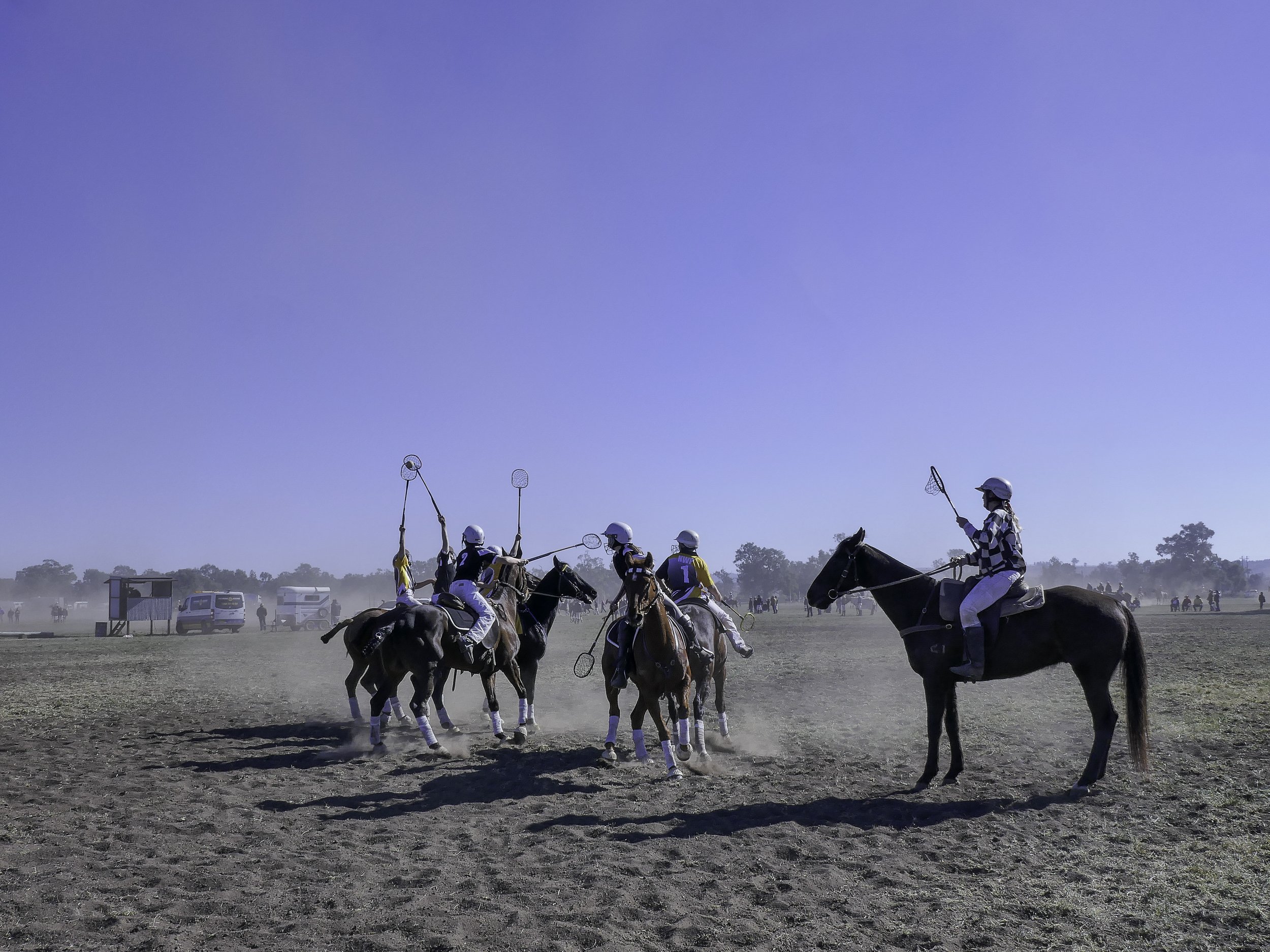 Polocrosse Match