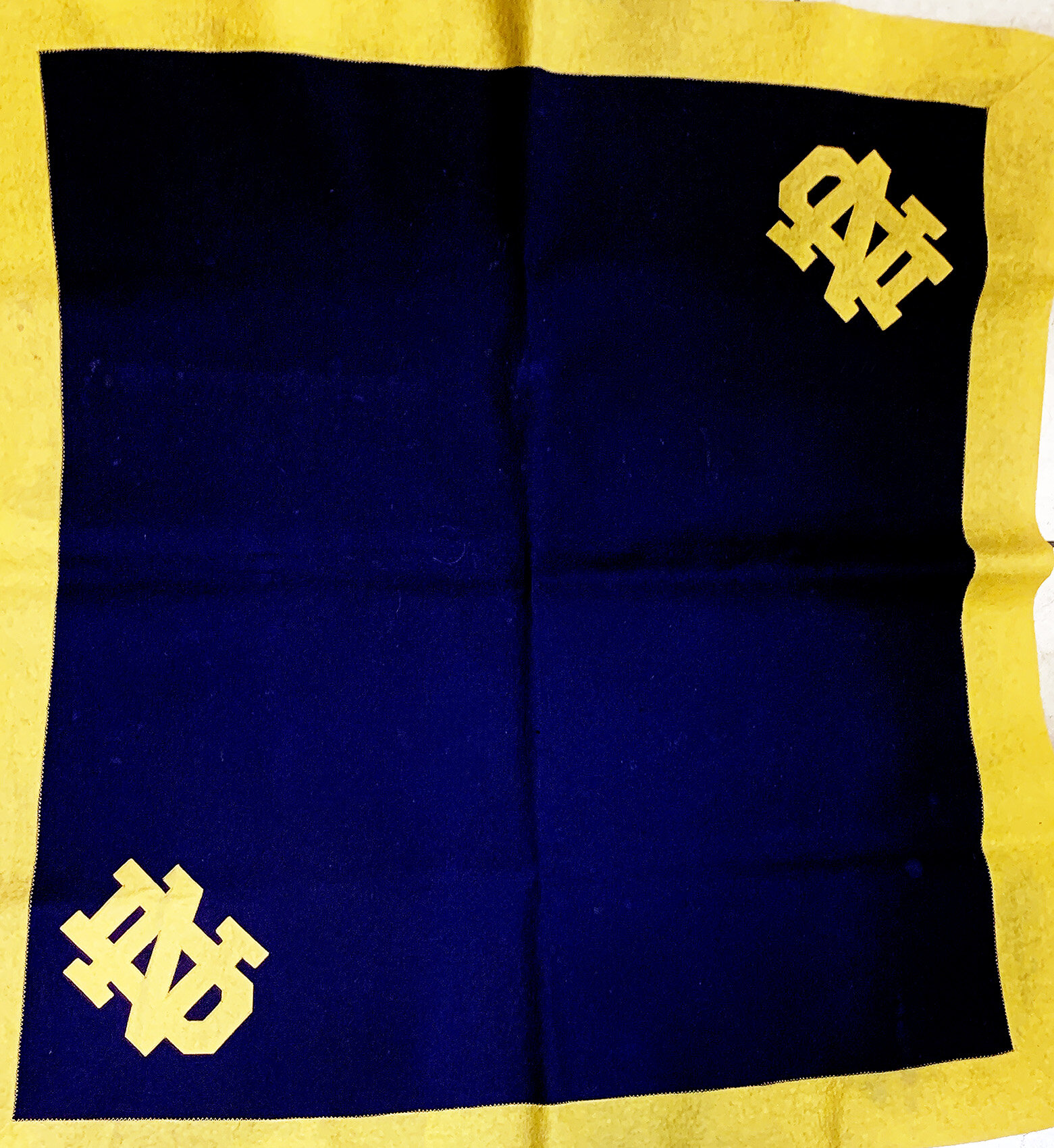 ND Equestrian Blanket 2.jpg