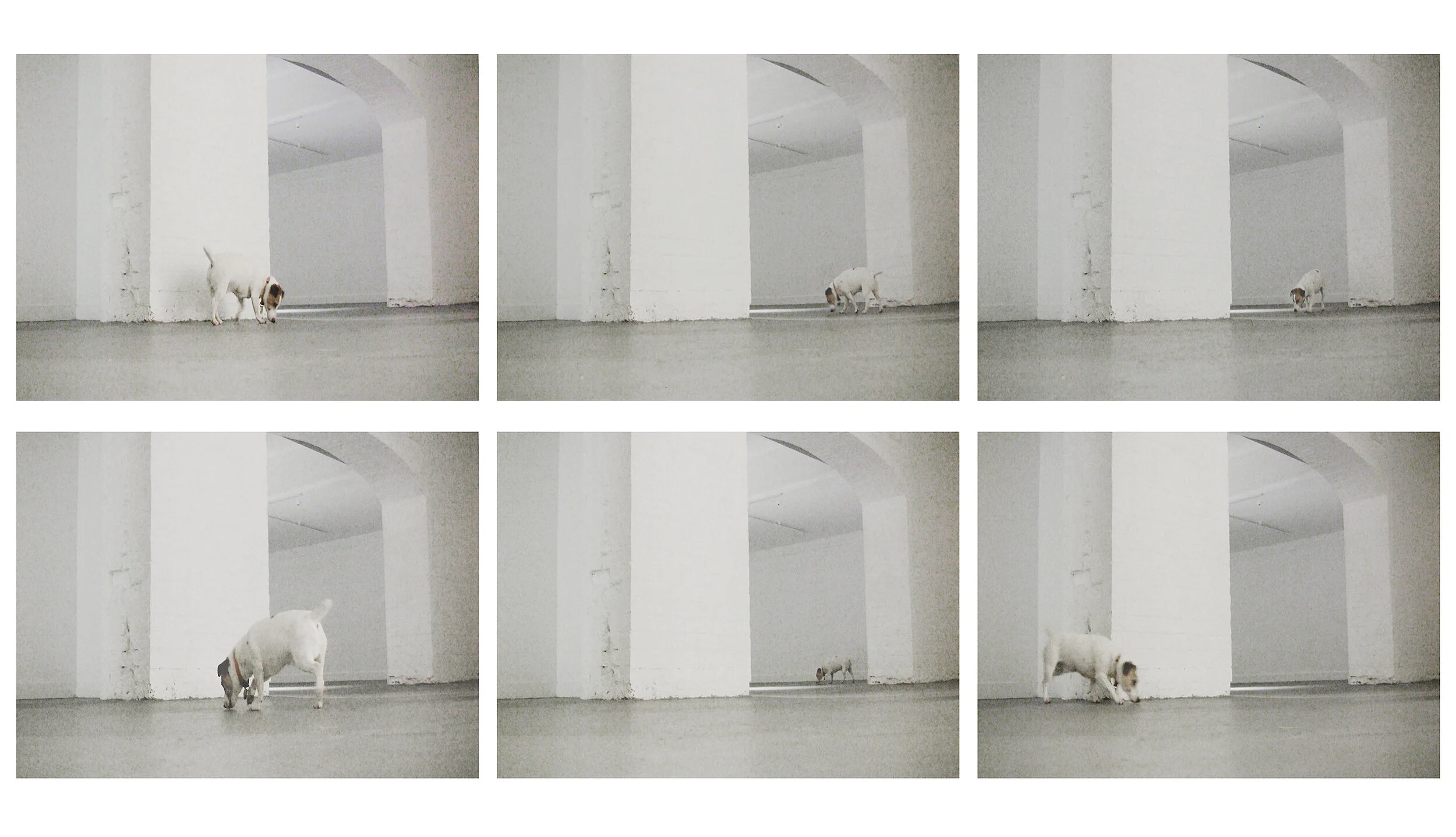 Stills from Frank, Blue Oyster Art Project Space