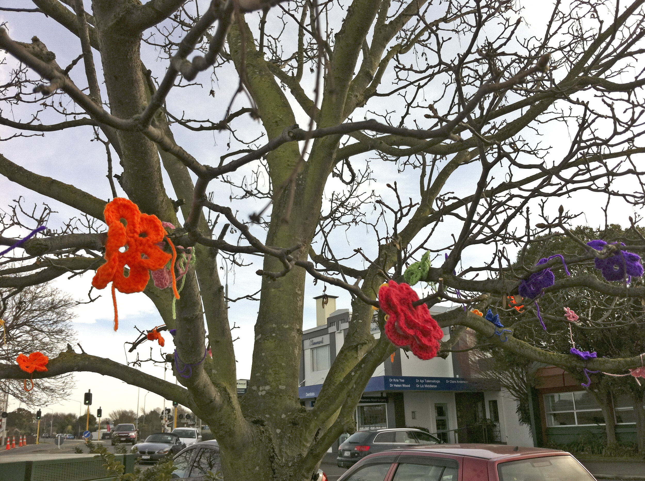 Post-disaster gardening, 2013. Flower Tree, Elmwood Shops, Christchurch, Winter 2012. Photo - Lara Strongman
