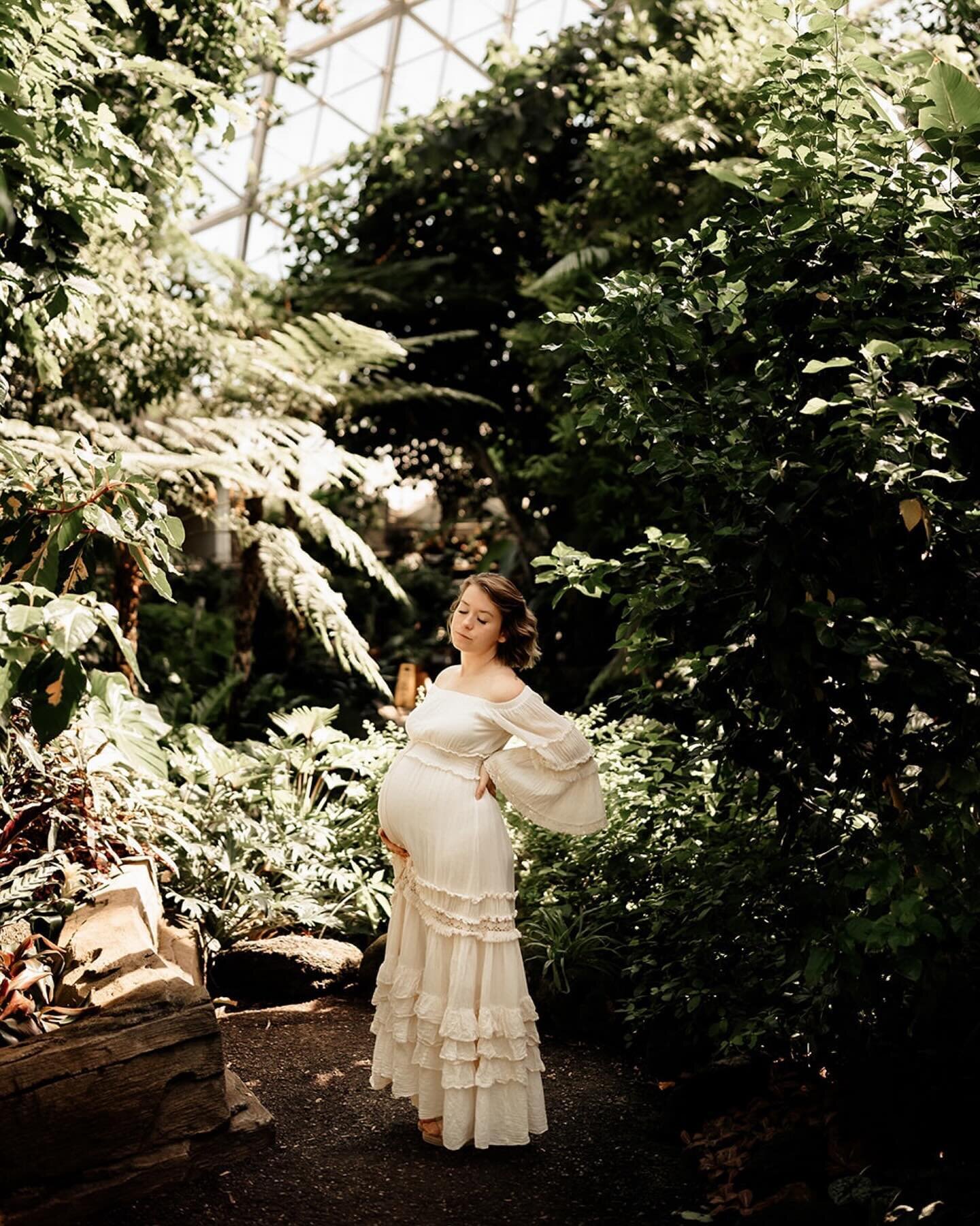 I had so much roaming the @milwaukeedomes with my cousin for her maternity photos. I didn&rsquo;t realized how much I miss greens and warmth!