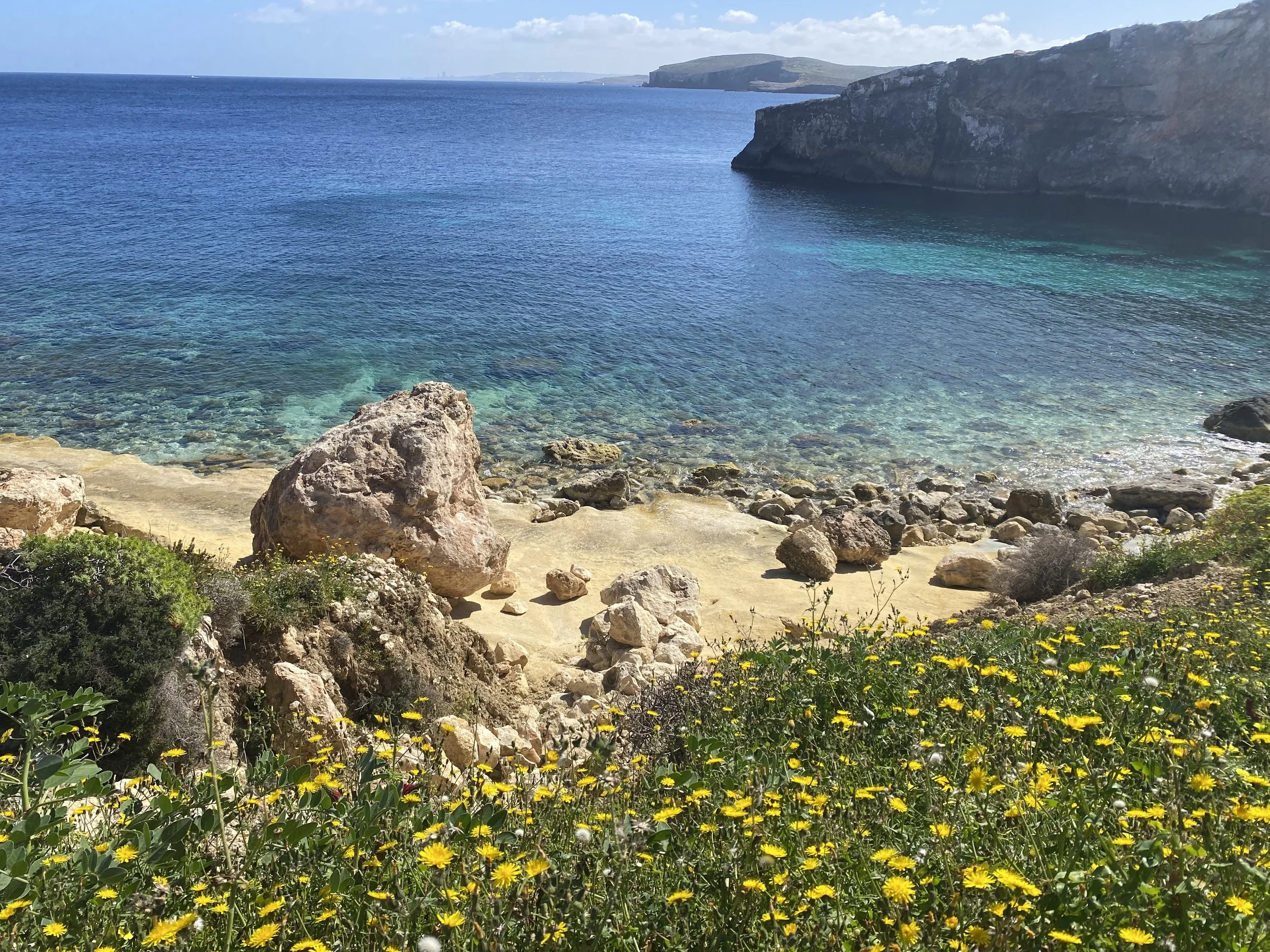 sea, beach and flowers.jpg