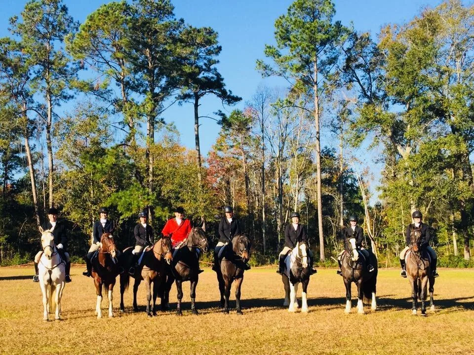 Services — White Horses LLC