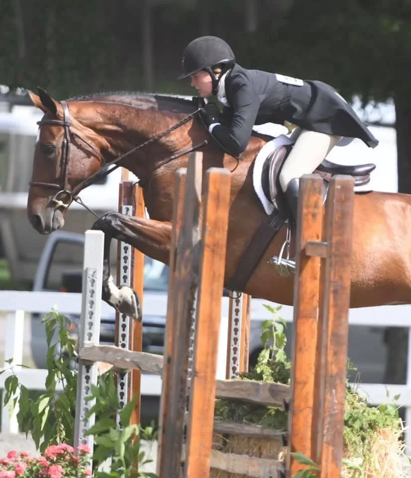 NCHJA Annual Show Success