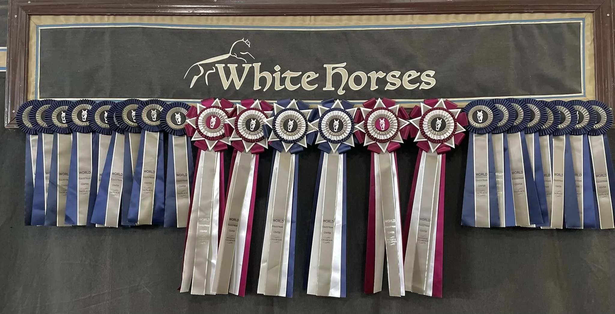 World Equestrian CEnter Wows!