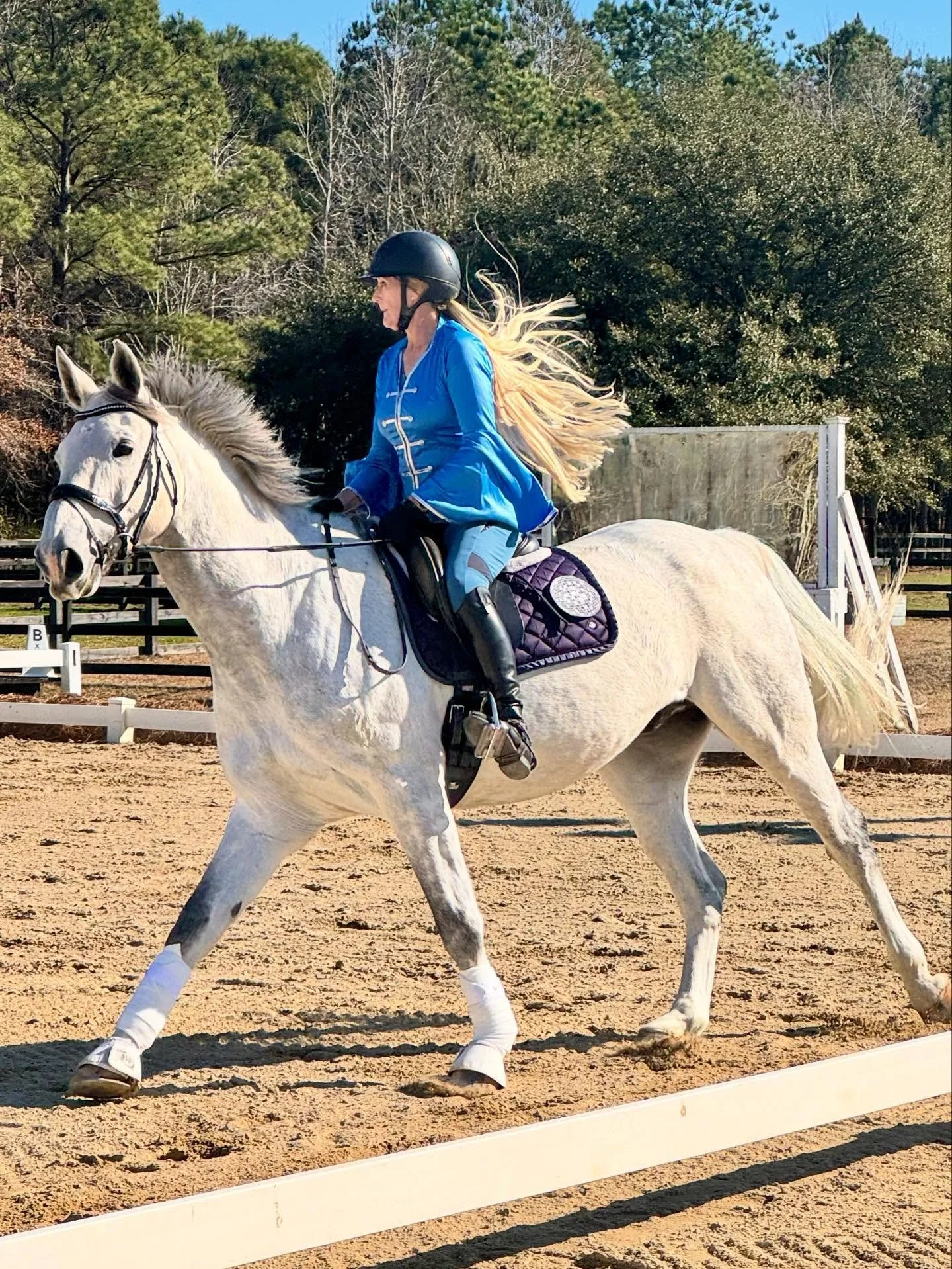 White HOrses Freestyle Challenge