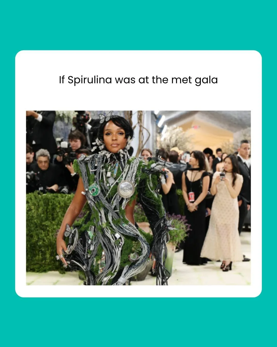 Fashion editors: obsessed with the green dress.
Us: obsessed with what spirulina can do for fungal nails. 🌿💅