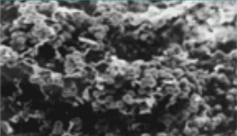 A grainy black-and-white photo shows an assortment of clustered particles or rough textures, with no discernible action or context.