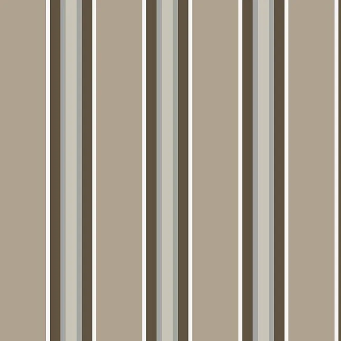  5003