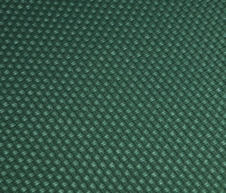 Forest Green 559