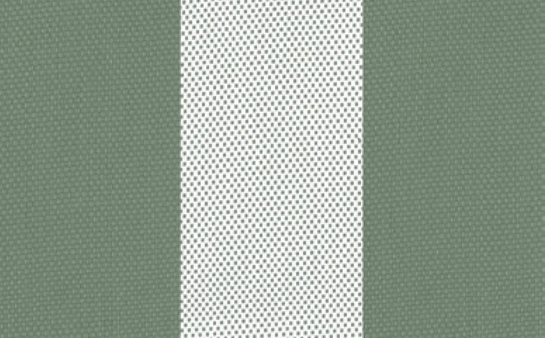 Pale Eucalypt® / Chalk 580