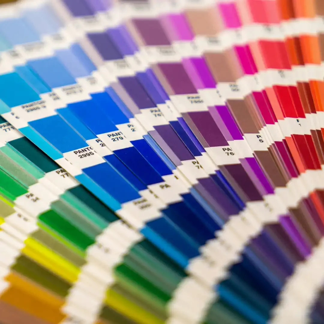 Shutters-custom-colour.webp