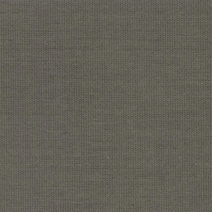 CallieF2035-Gray.jpg