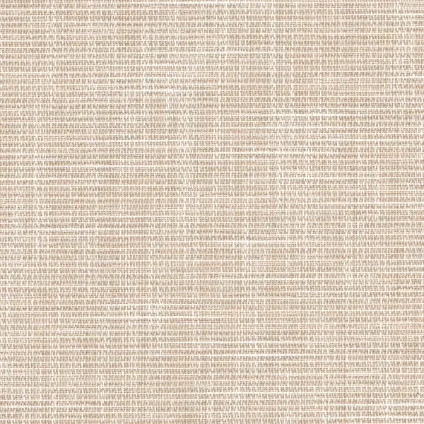 Olivia-LF-Raw-Sugar-F2099.webp
