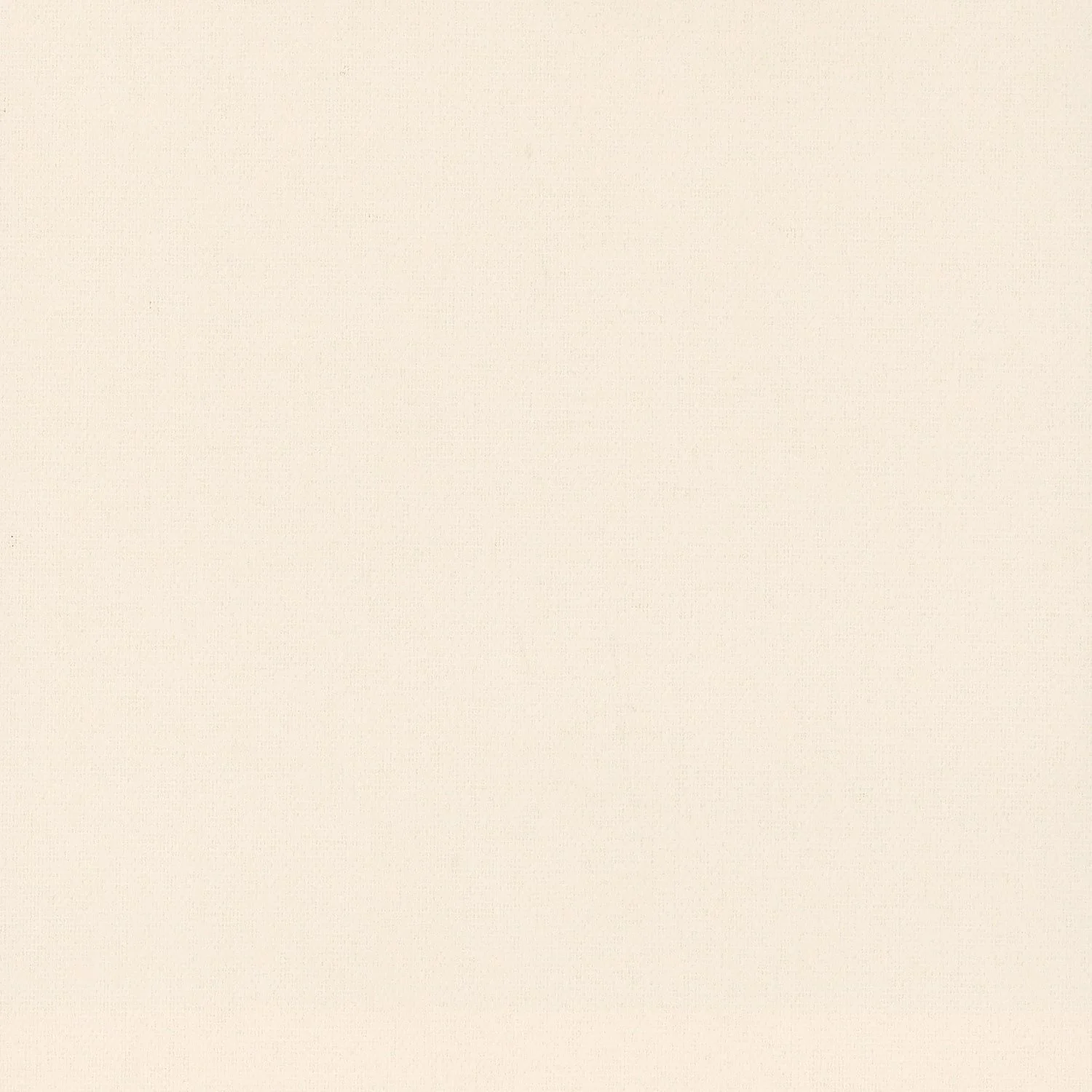 Roller-Shades-Swatches-Light-Filtering-Designer-Pearl-F1641-Cotton.jpg