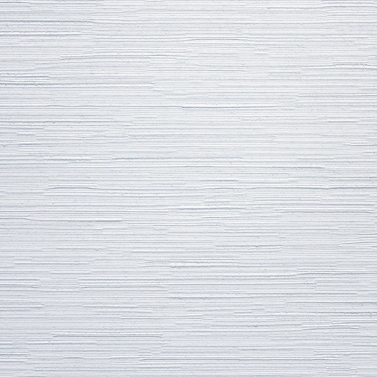 Arctic_Zoom.jpeg