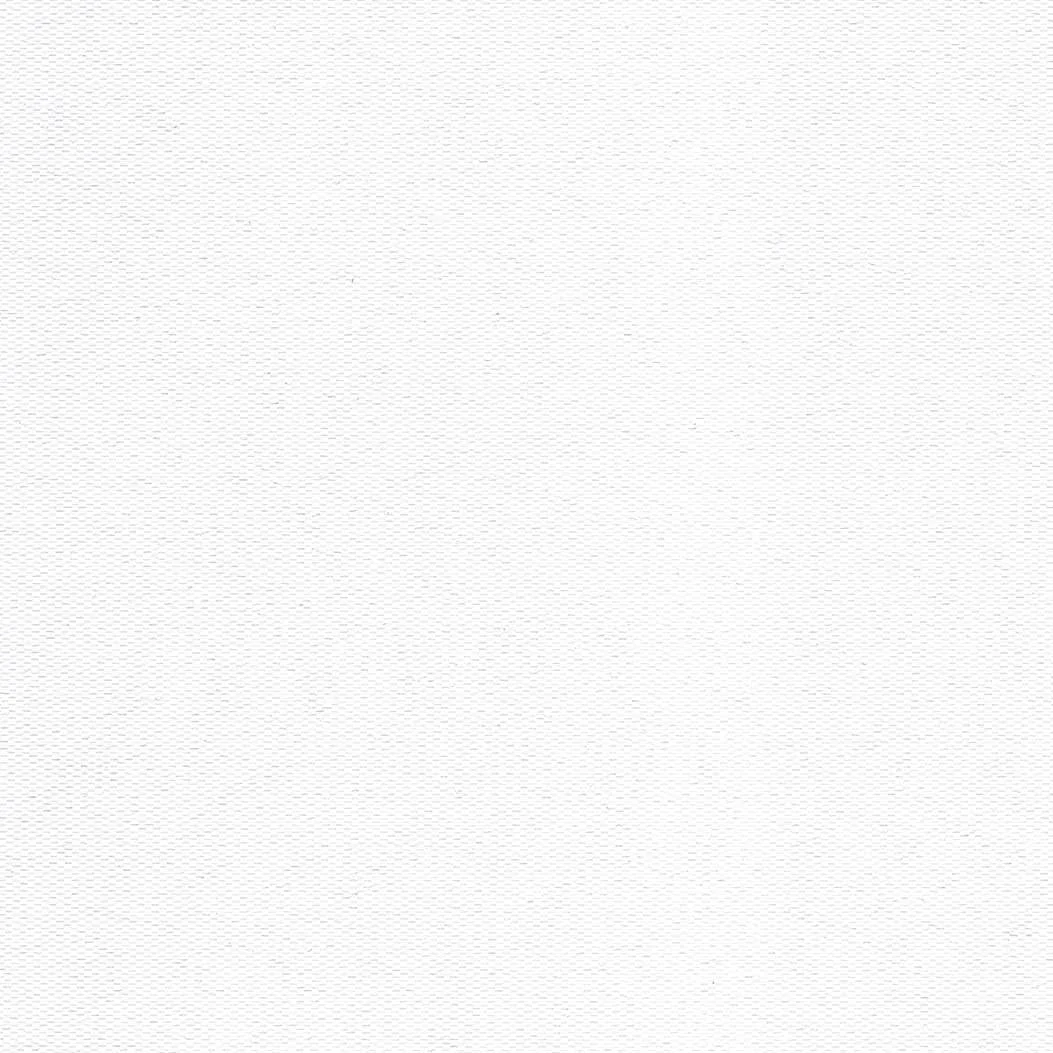 10-Evolution-White.jpg