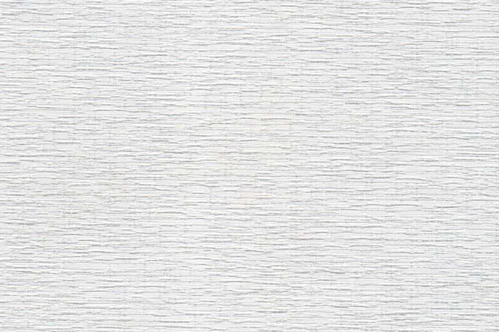 Belice Birch.jpg