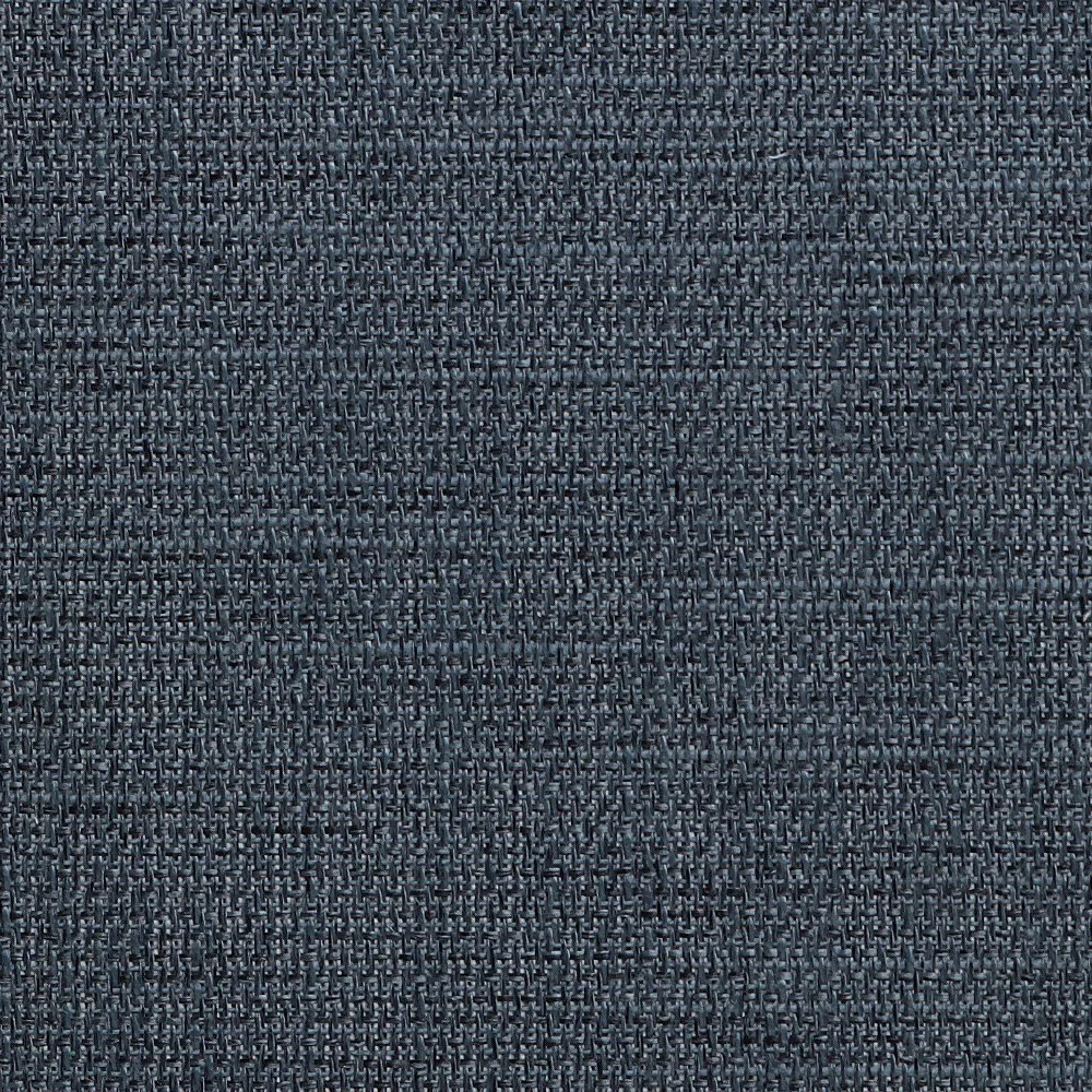 Linesque Denim.jpg