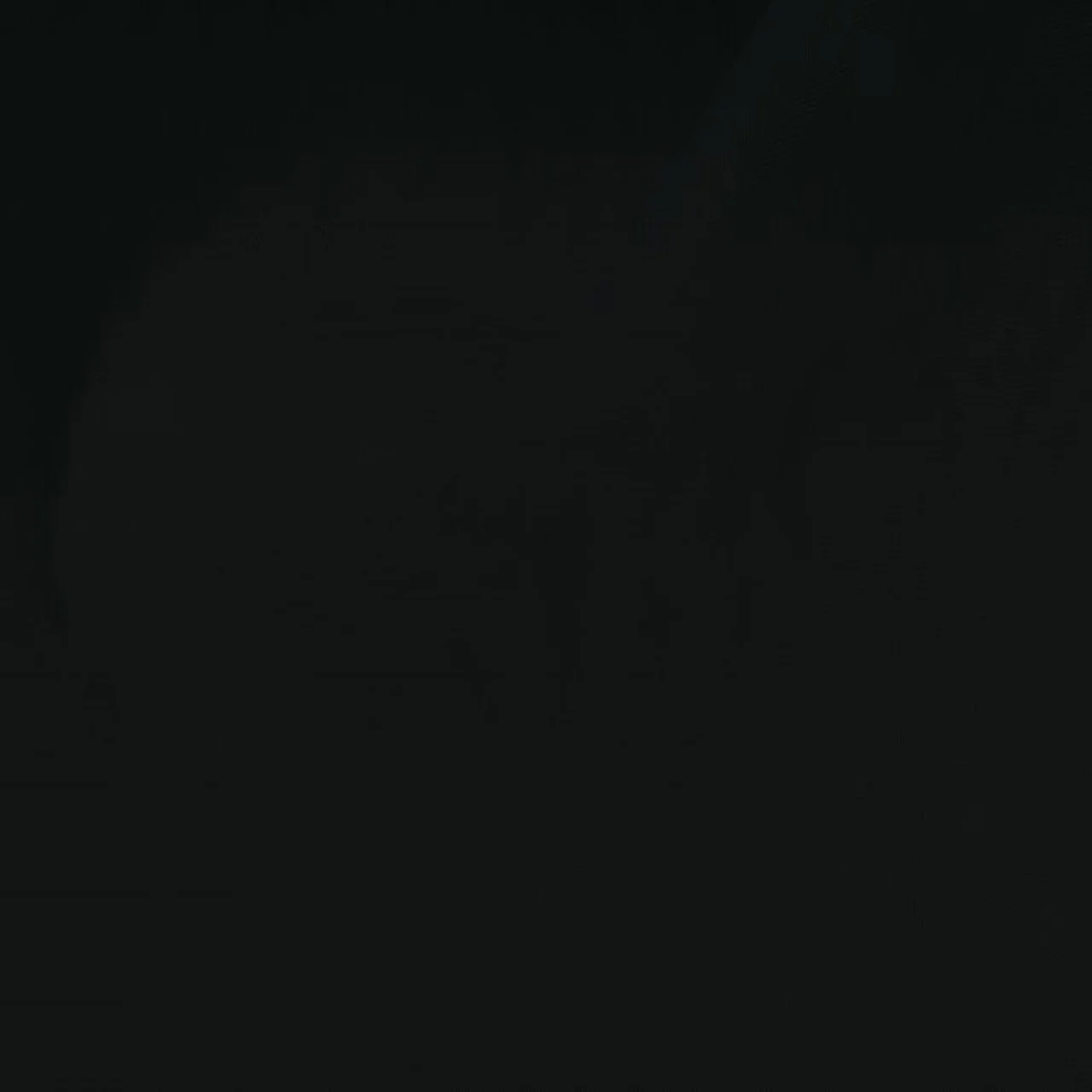 black_zoom.jpeg