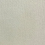 Alpine-Light-Grey_swatch.jpg