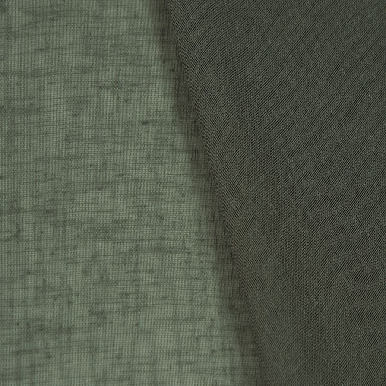 moss_zoom.png