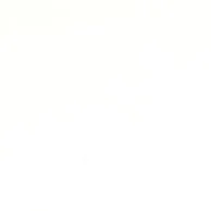 VIVID_WHITE_1.jpg