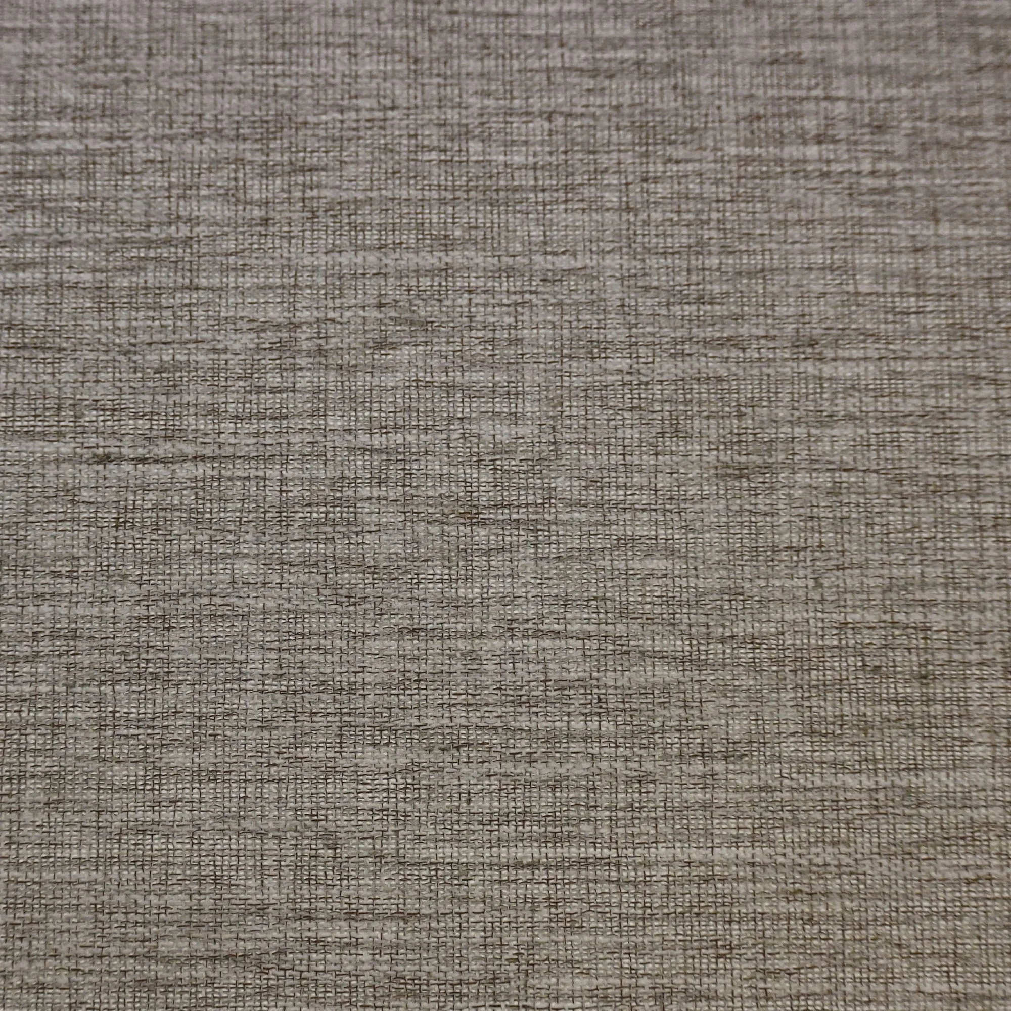 Antigua Shell.jpg
