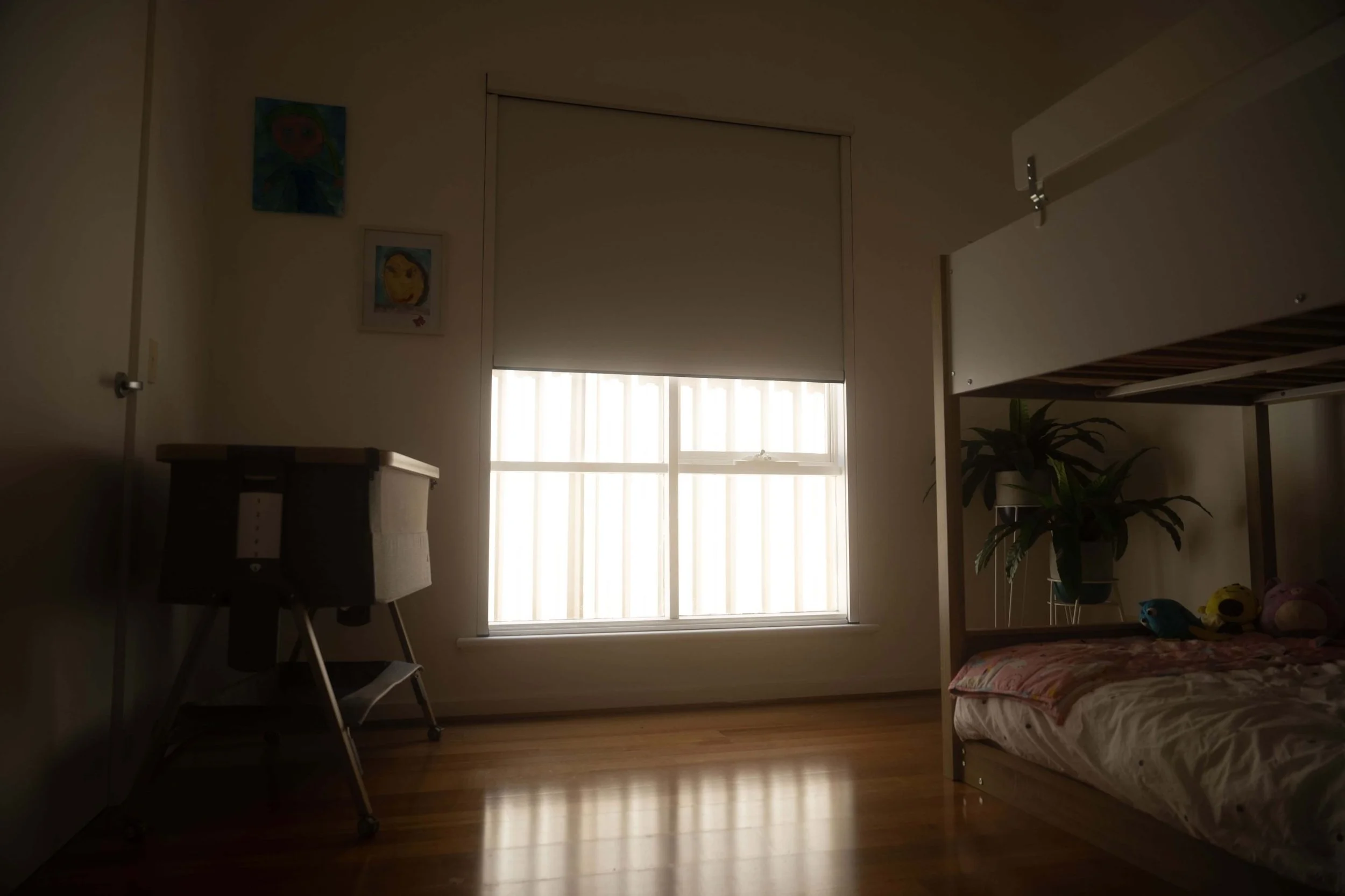 TruBlockout Motorised Roller Blind