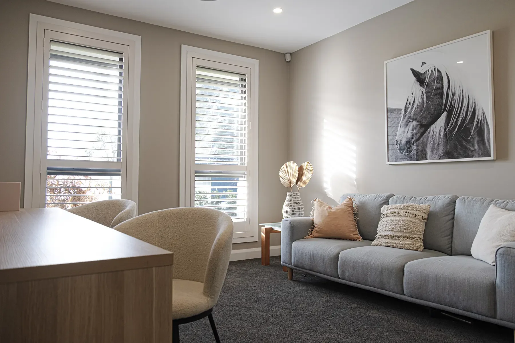 CW-Plantation-Shutters-Poly-image-6.webp