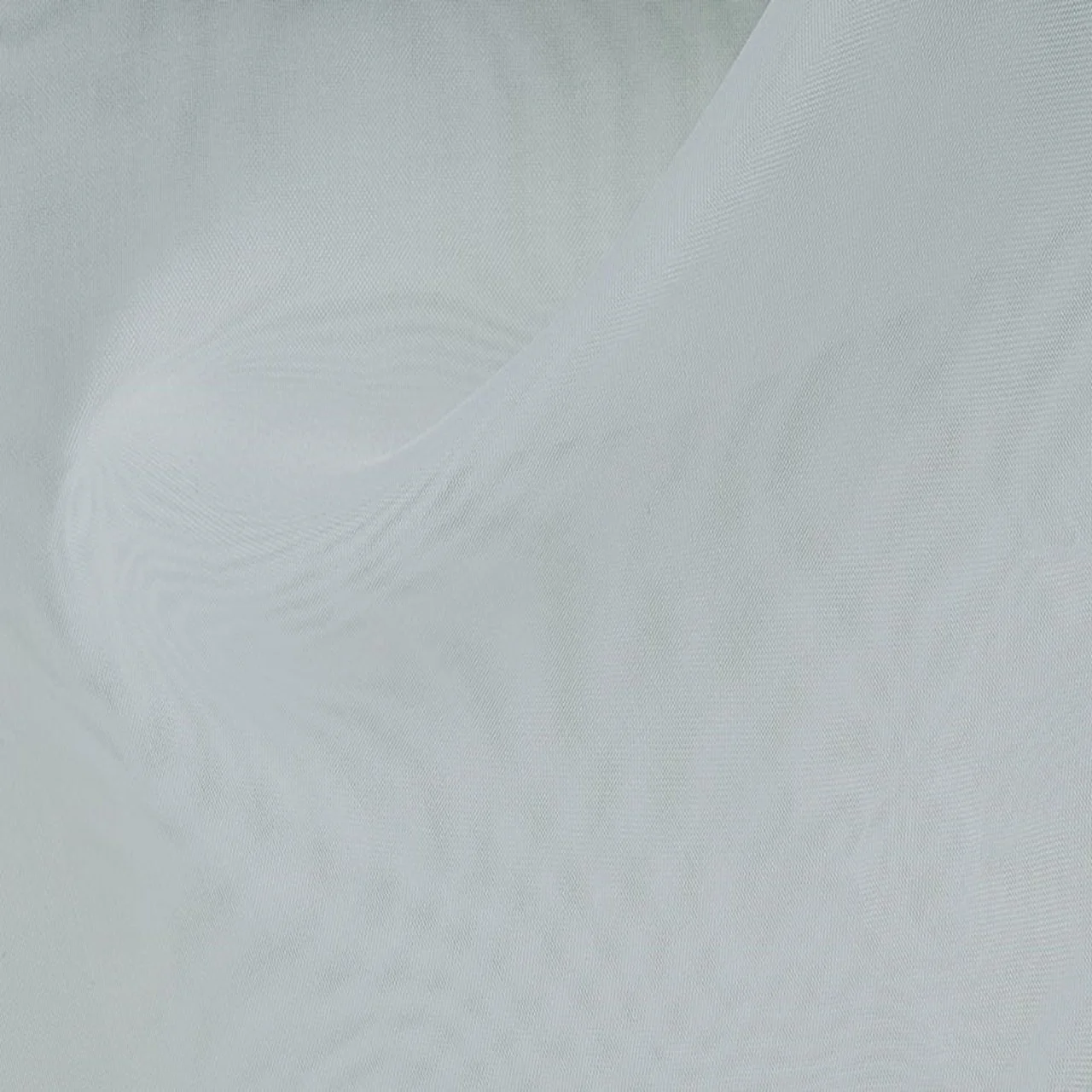 white_zoom_1.jpeg