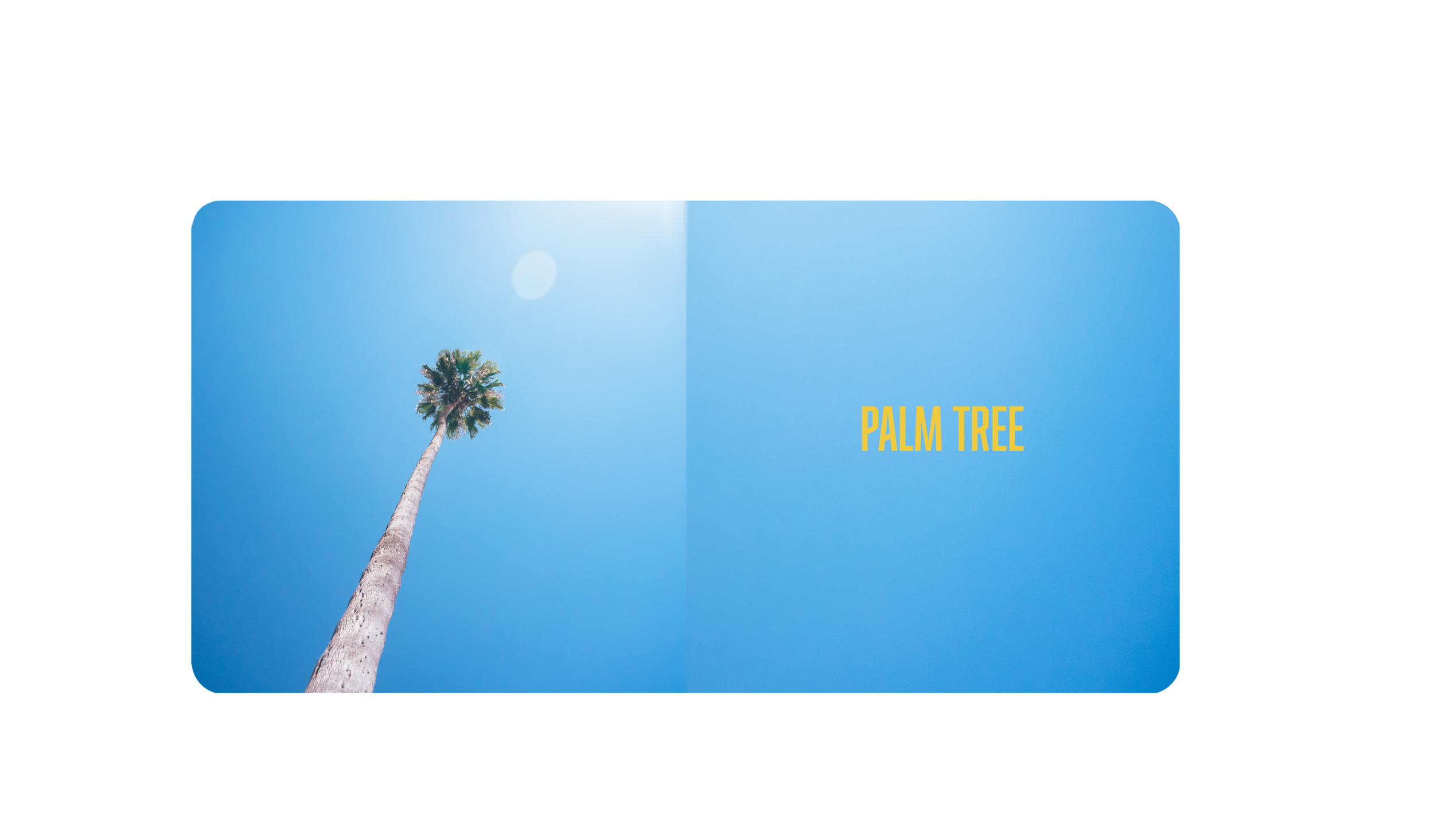 Palm_Tree_Interior_Print_Format copy.png