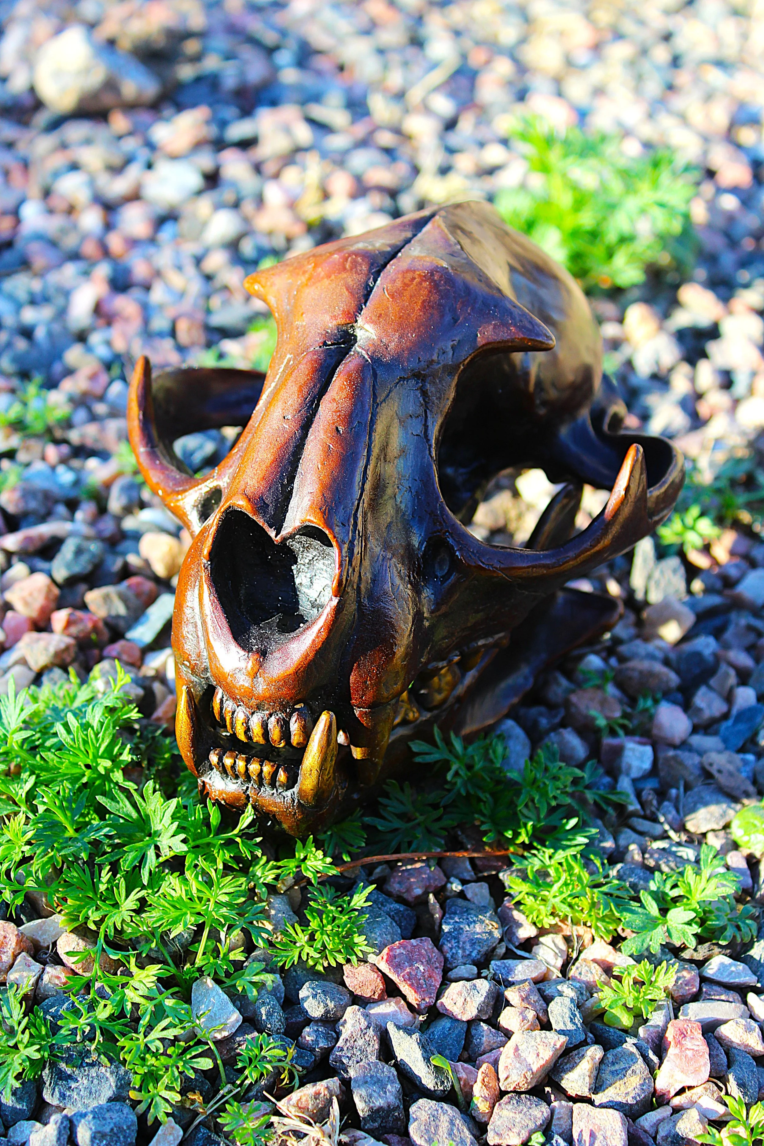 Side shot of bronze cougar skull by Northern Colorado sculptor Joel Turner