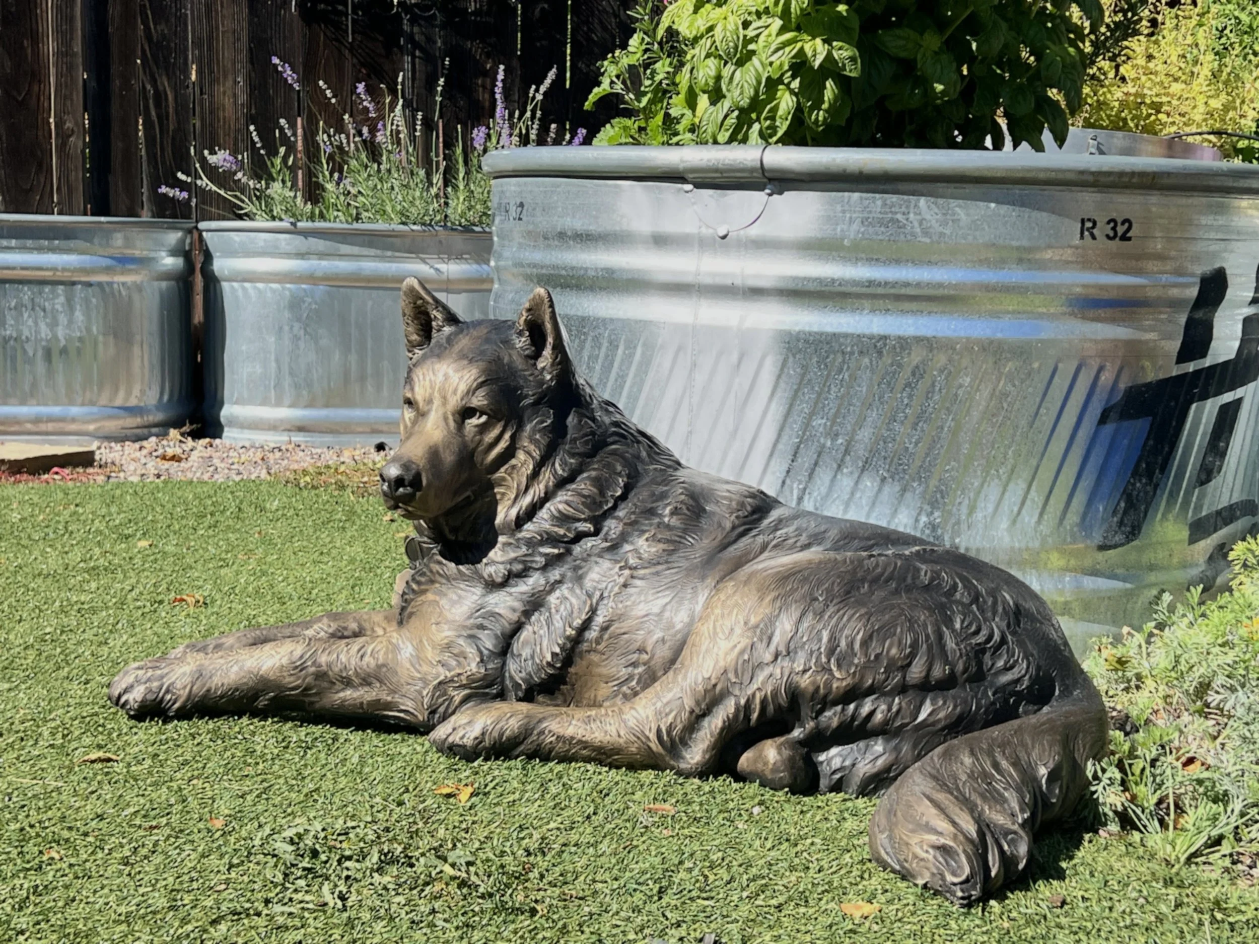 Dog wildlife Animal sculpture Joel Turner artist Huskey bronze