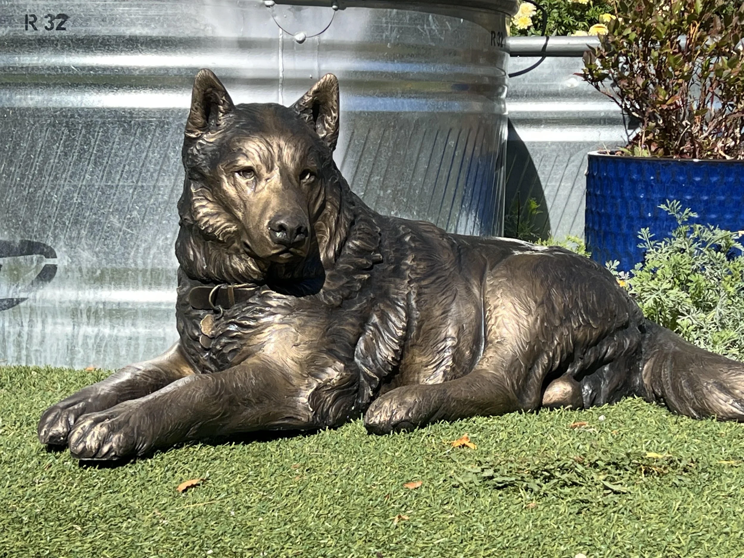 Bronze Huskey sculpture Joel Turner Artist sculptor