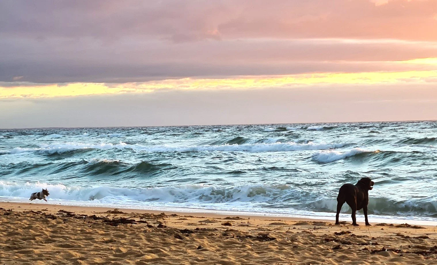 SHOULD YOU GET A CAREER COACH?  Yes!  Read on to learn why.