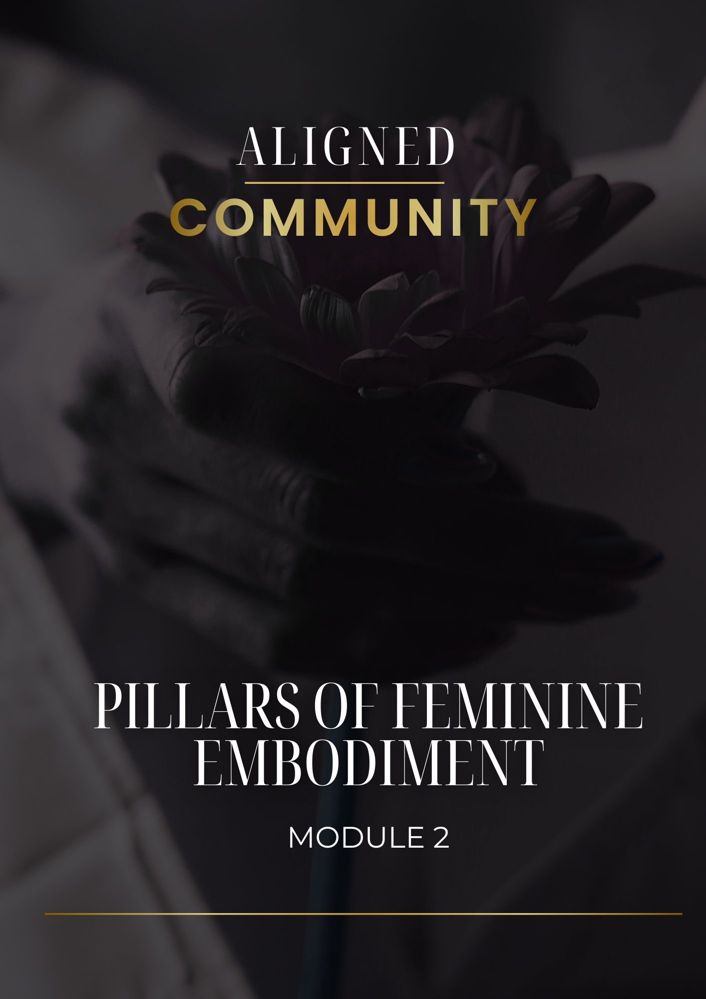 Aligned Community: Module 2: Creativity and Relationships Pillars of ...