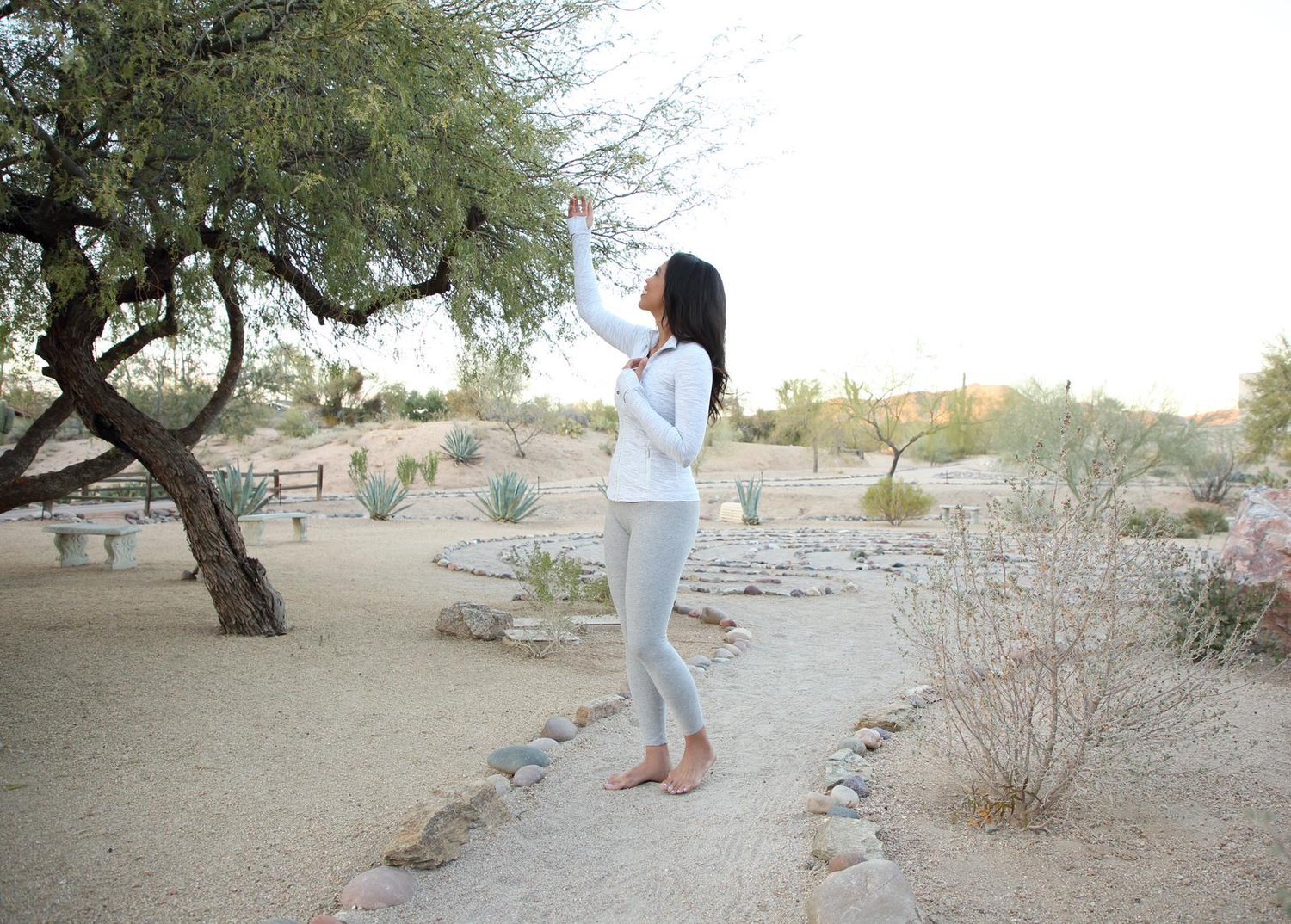 Living Yoga: Exploring the Yamas & Niyamas for Authentic Living